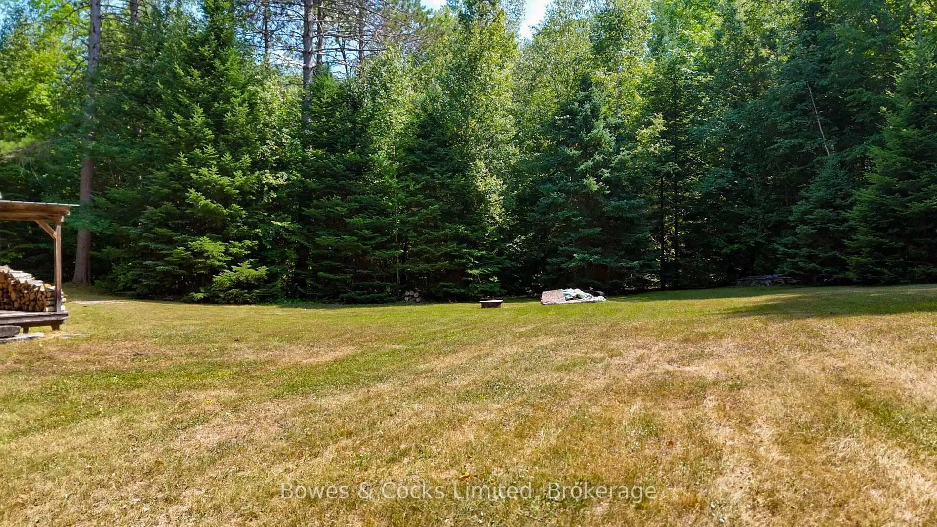 A pic from outside/outdoor area/front of a property/back of a property/a pic from drone, forest/trees view for 12916 Highway 28, North Kawartha Ontario K0L 1A0
