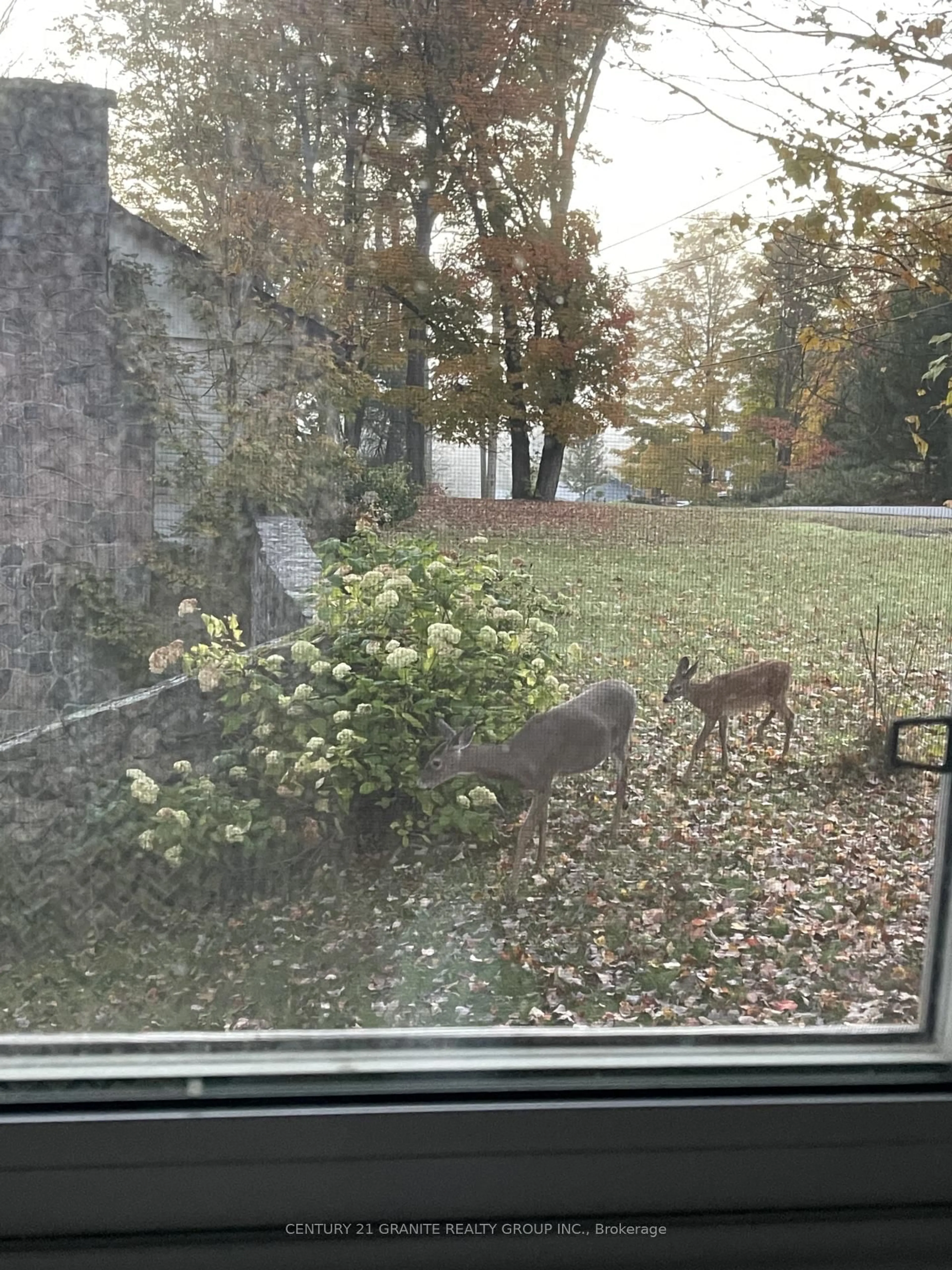 Blurry image for 12 Forest Hill Rd, Bancroft Ontario K0L 1C0