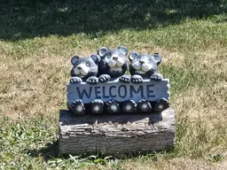 history photo preview