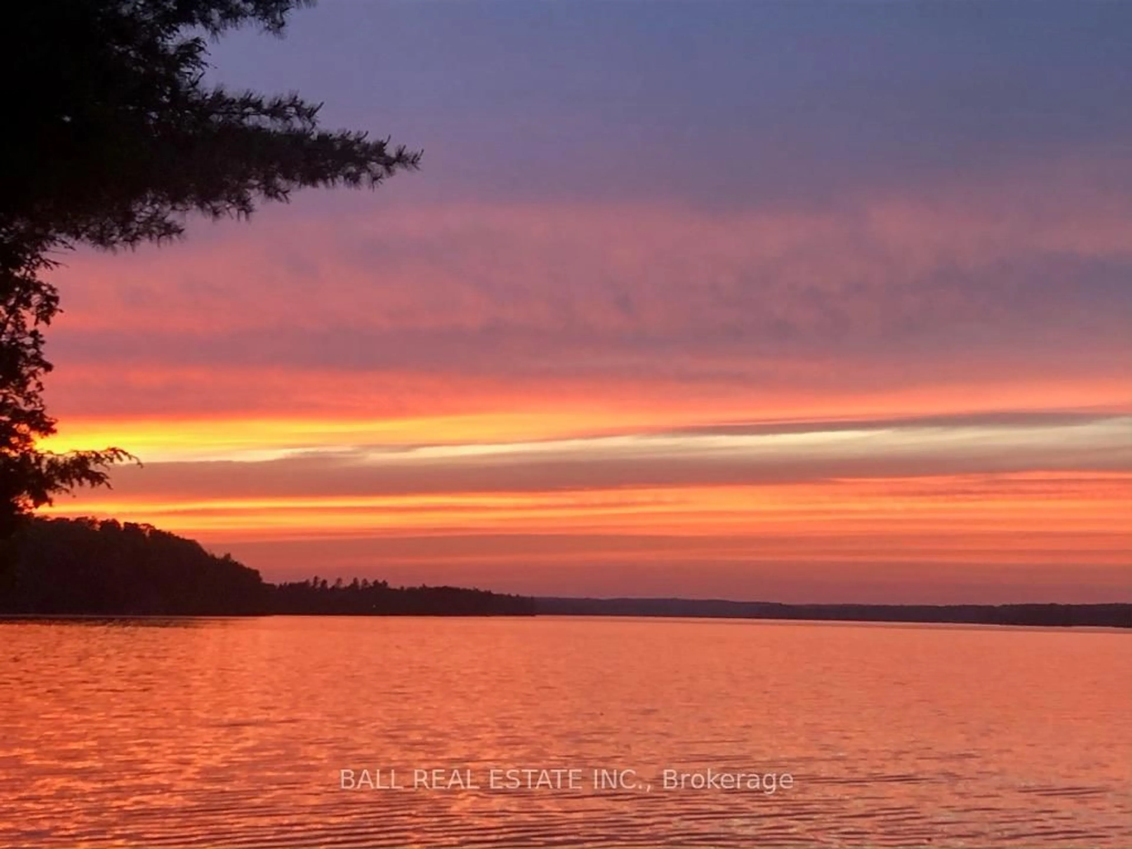 Blurry image for 551 Renwick Rd, North Kawartha Ontario K0L 1A0