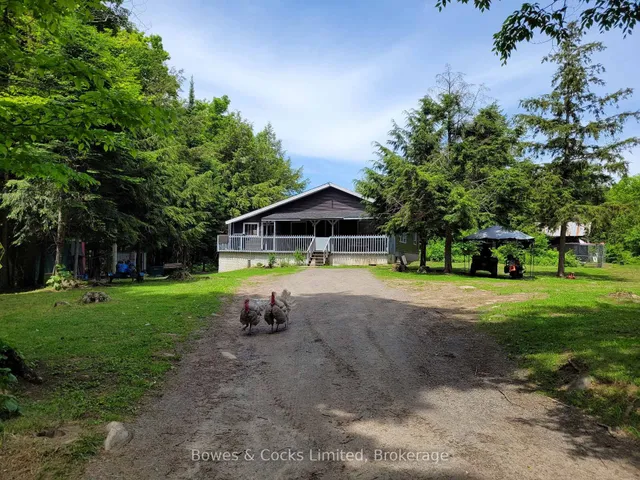 246 Hickey Tr, Bancroft