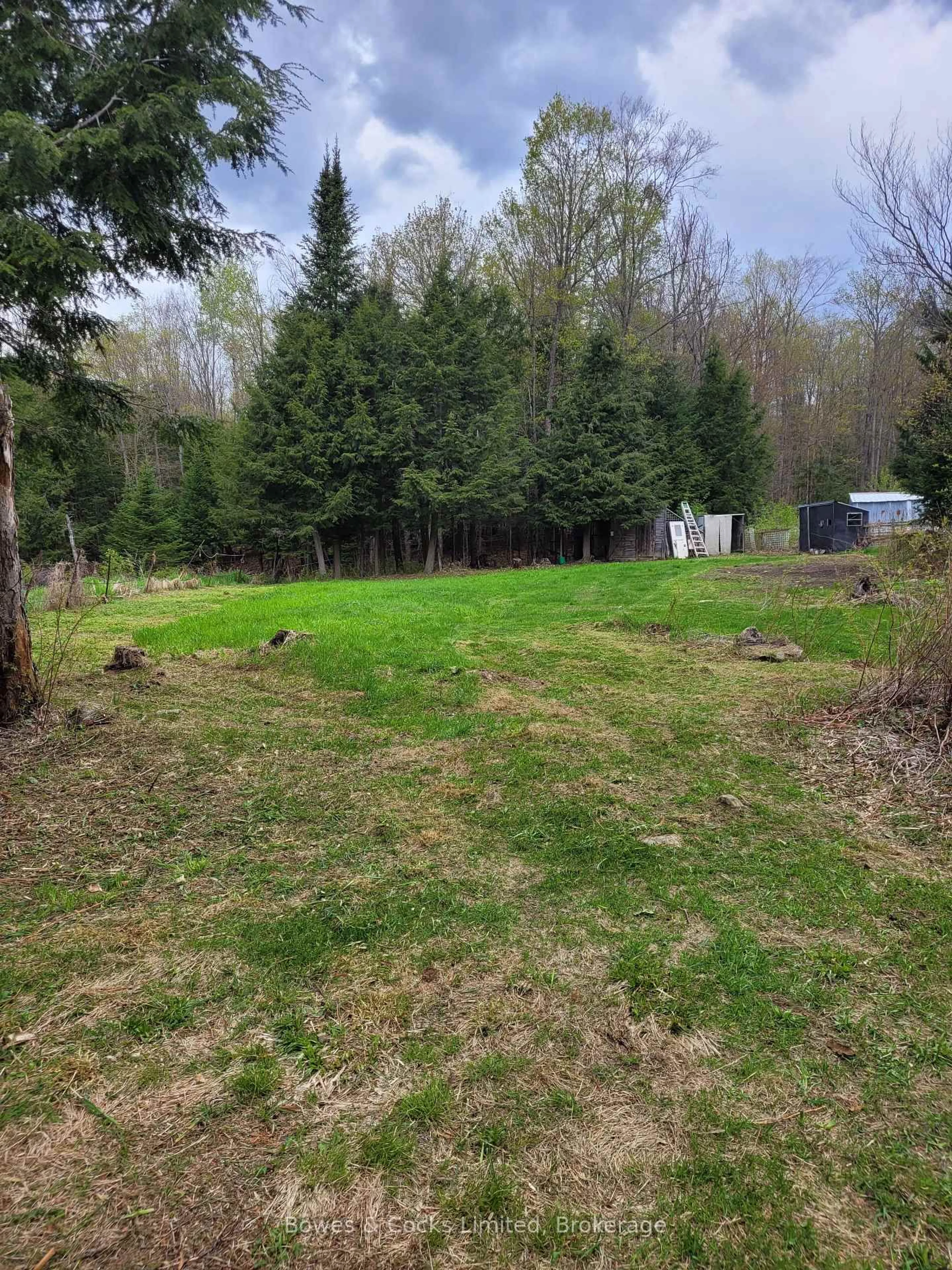 A pic from outside/outdoor area/front of a property/back of a property/a pic from drone, forest/trees view for 246 Hickey Tr, Bancroft Ontario K0L 1C0