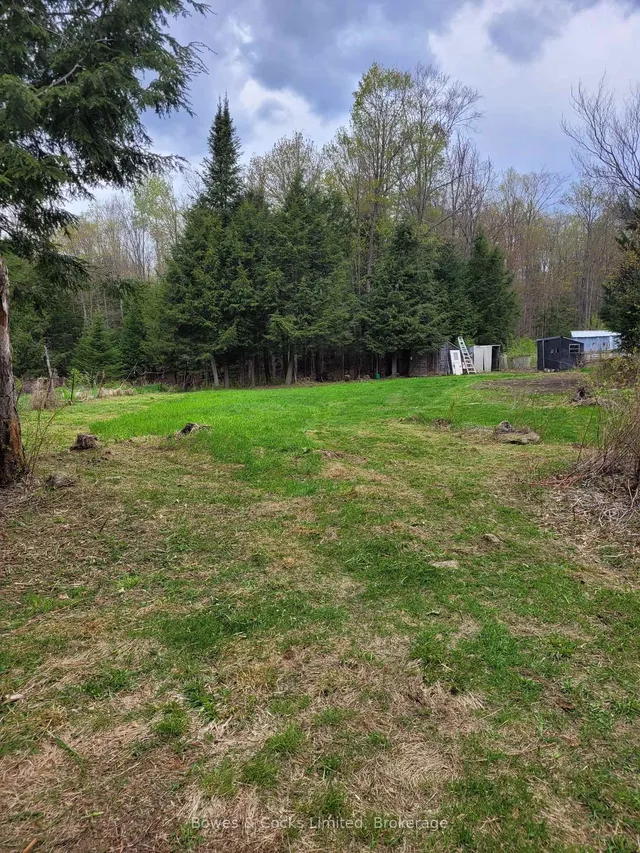246 Hickey Tr, Bancroft 3