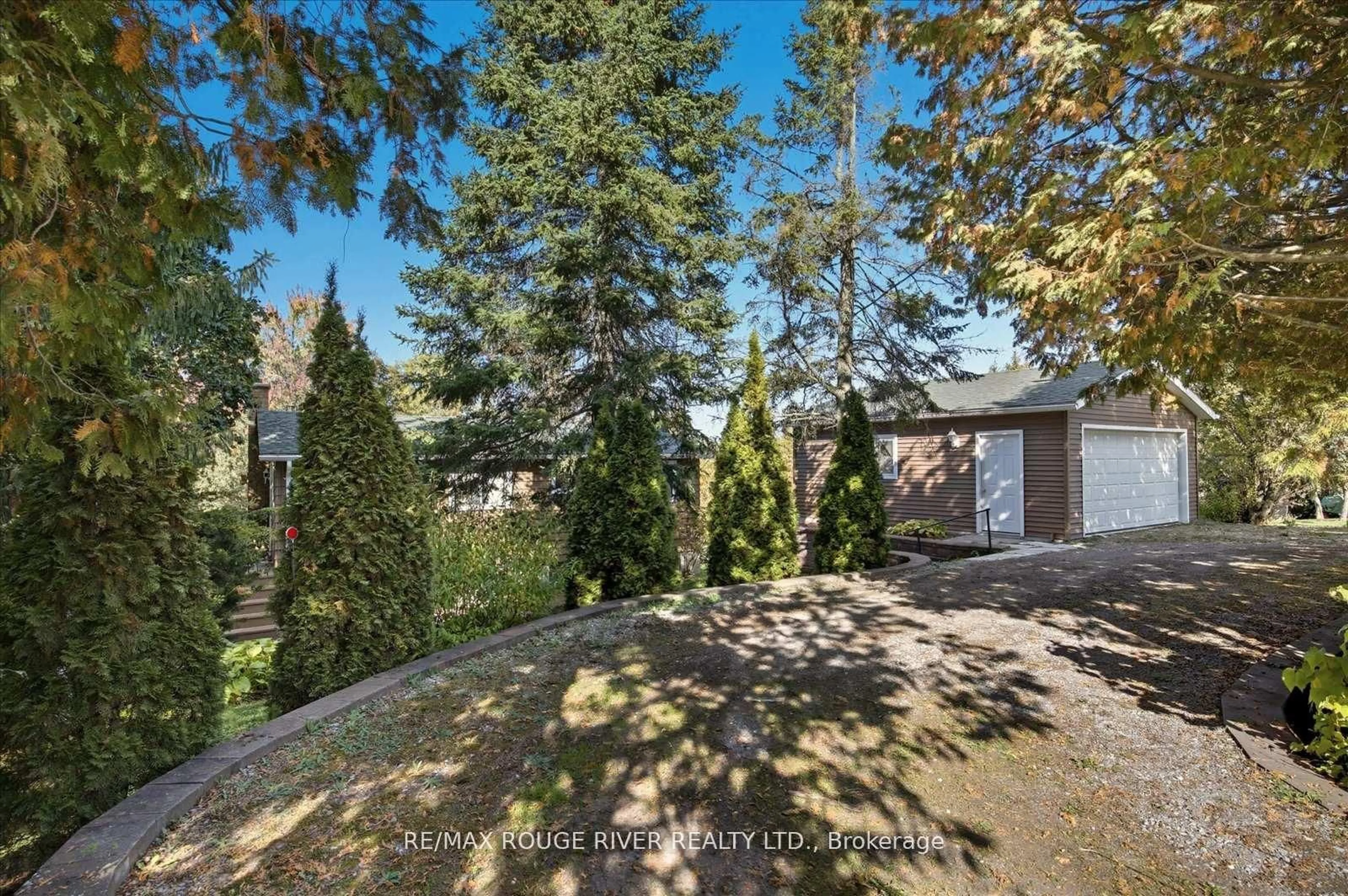 A pic from outside/outdoor area/front of a property/back of a property/a pic from drone, forest/trees view for 65 Cedarview Dr, Kawartha Lakes Ontario K0L 2W0