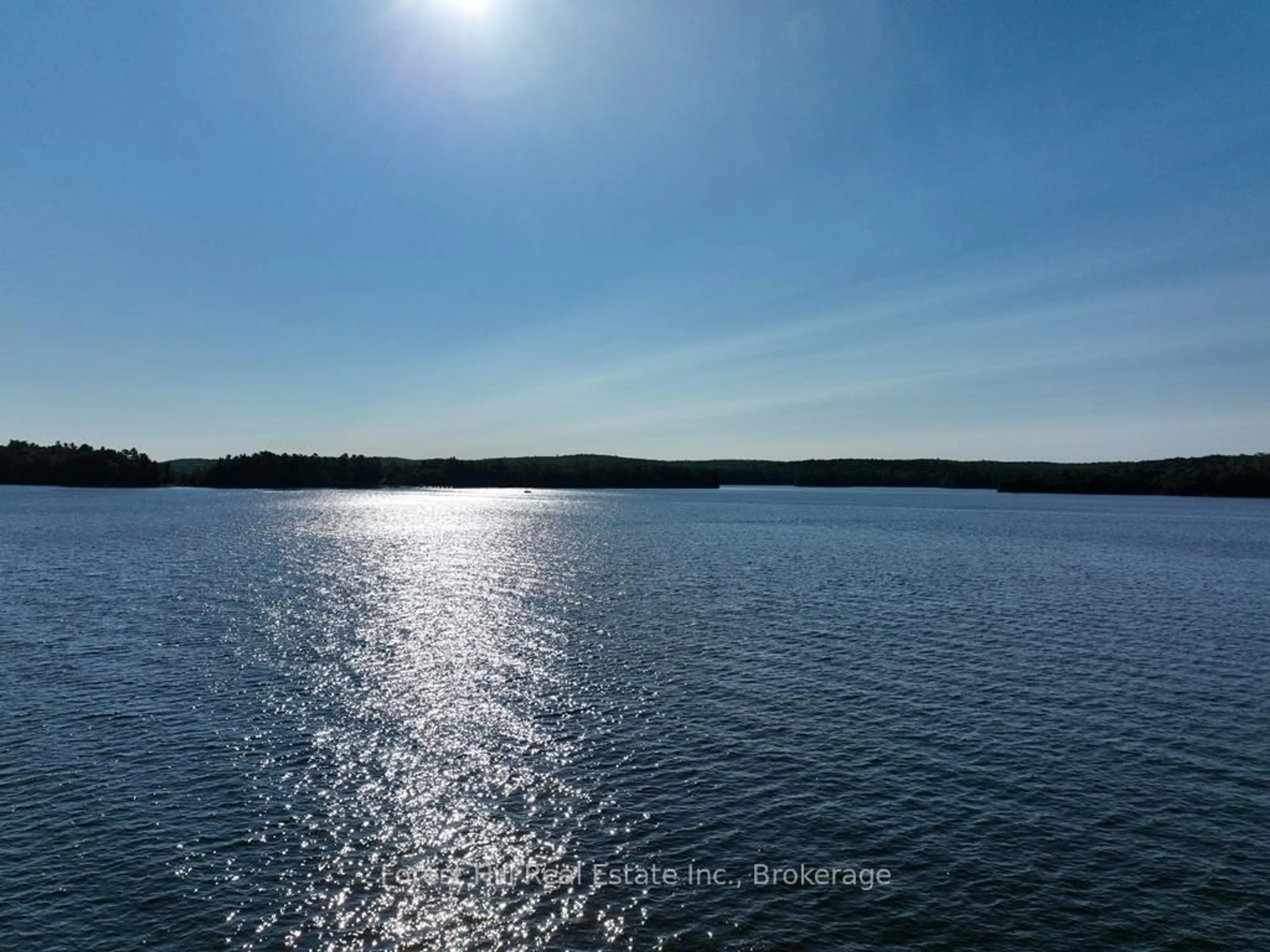 Blurry image for 10689 Kawagama Lake WAO, Algonquin Highlands Ontario P0A 1E0