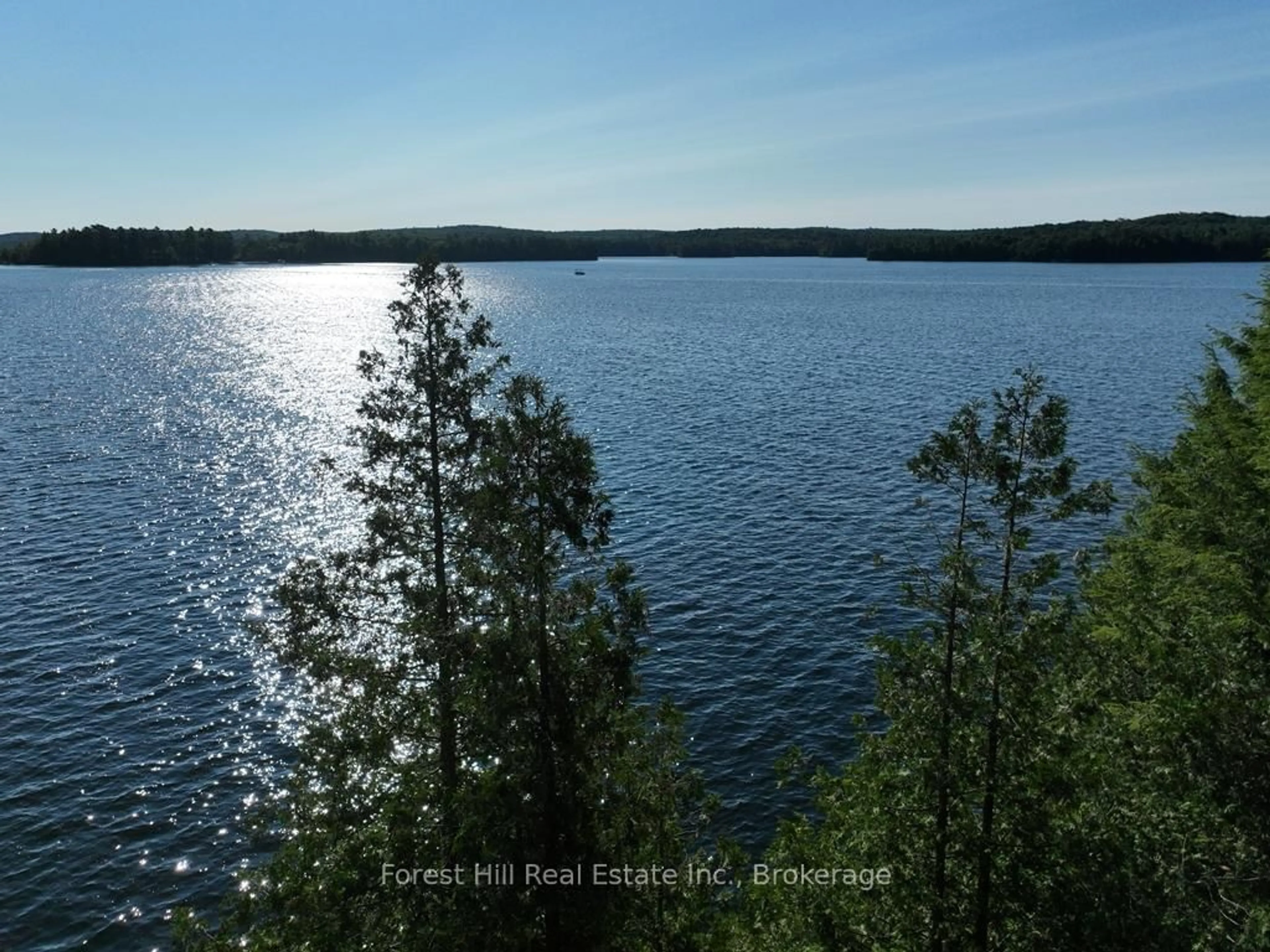 A pic from outside/outdoor area/front of a property/back of a property/a pic from drone, water/lake/river/ocean view for 10689 Kawagama Lake WAO, Algonquin Highlands Ontario P0A 1E0