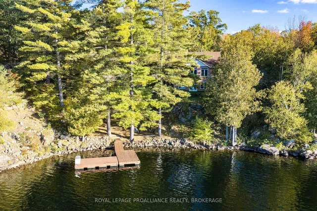 1133 Sassy Tree Lane, Hartington 3