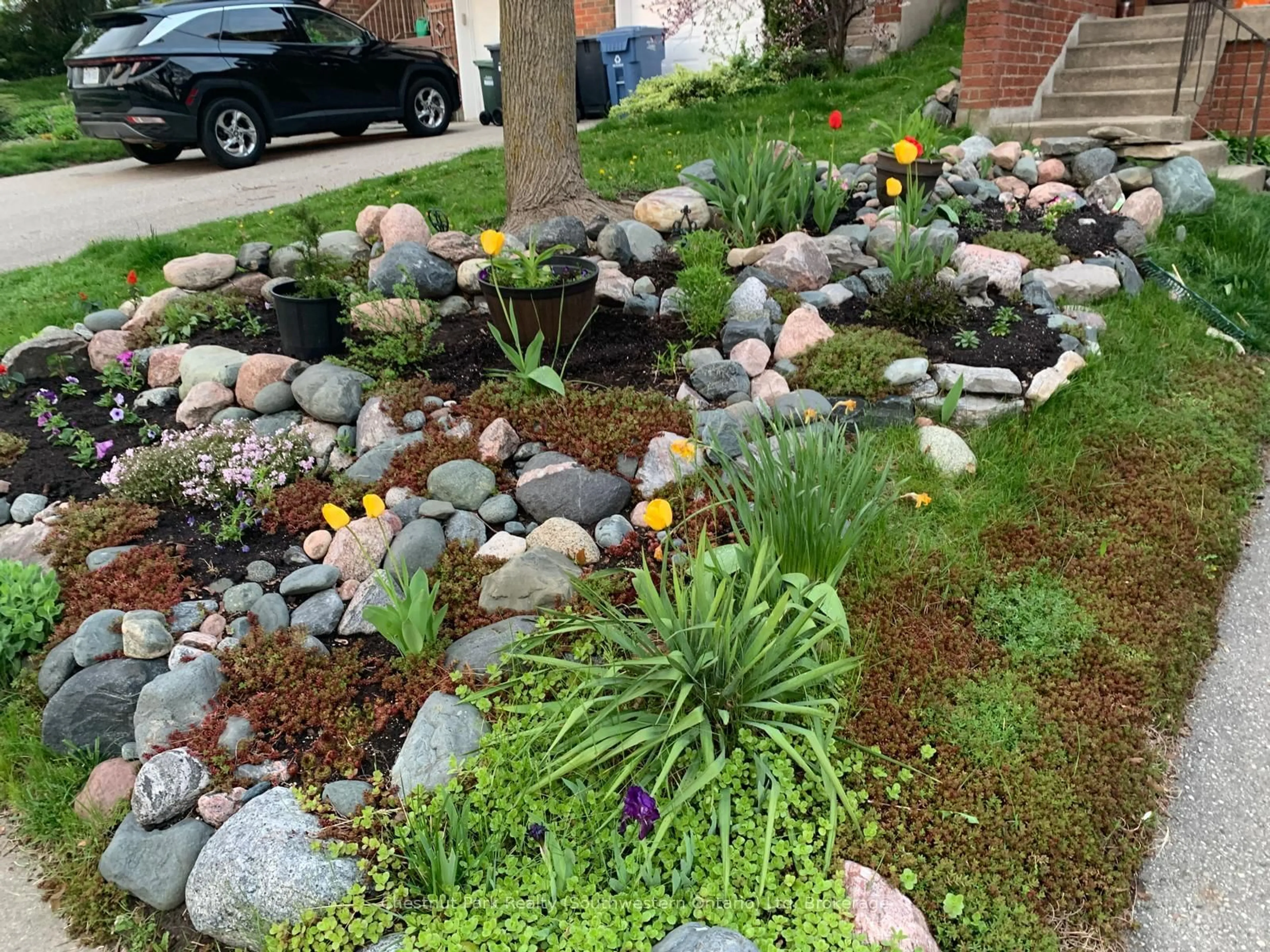 Unknown for 153 Dovercliffe Rd, Guelph Ontario N1G 3A5