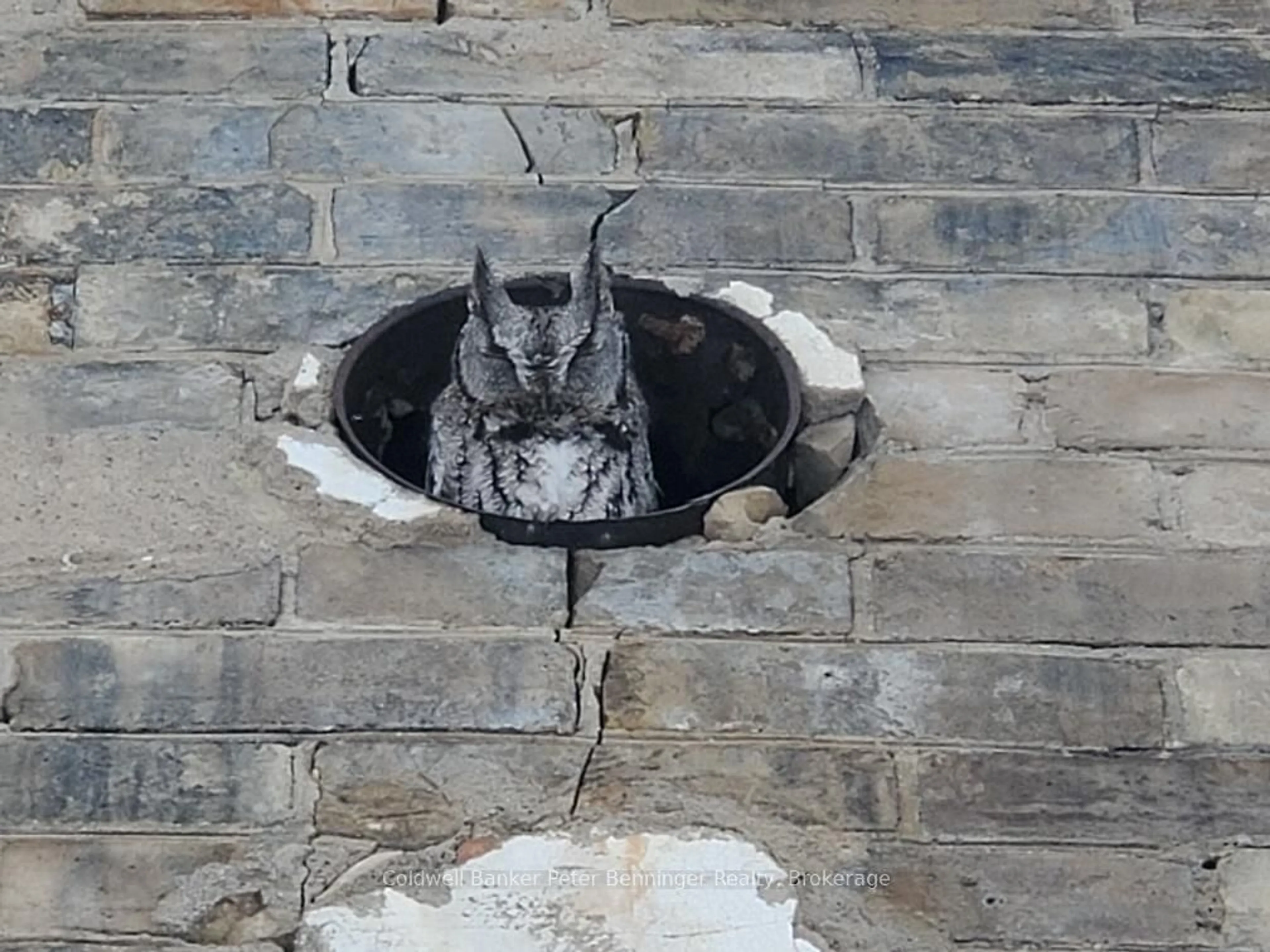 Unknown for 252 1st Ave, Arran-Elderslie Ontario N0G 1L0