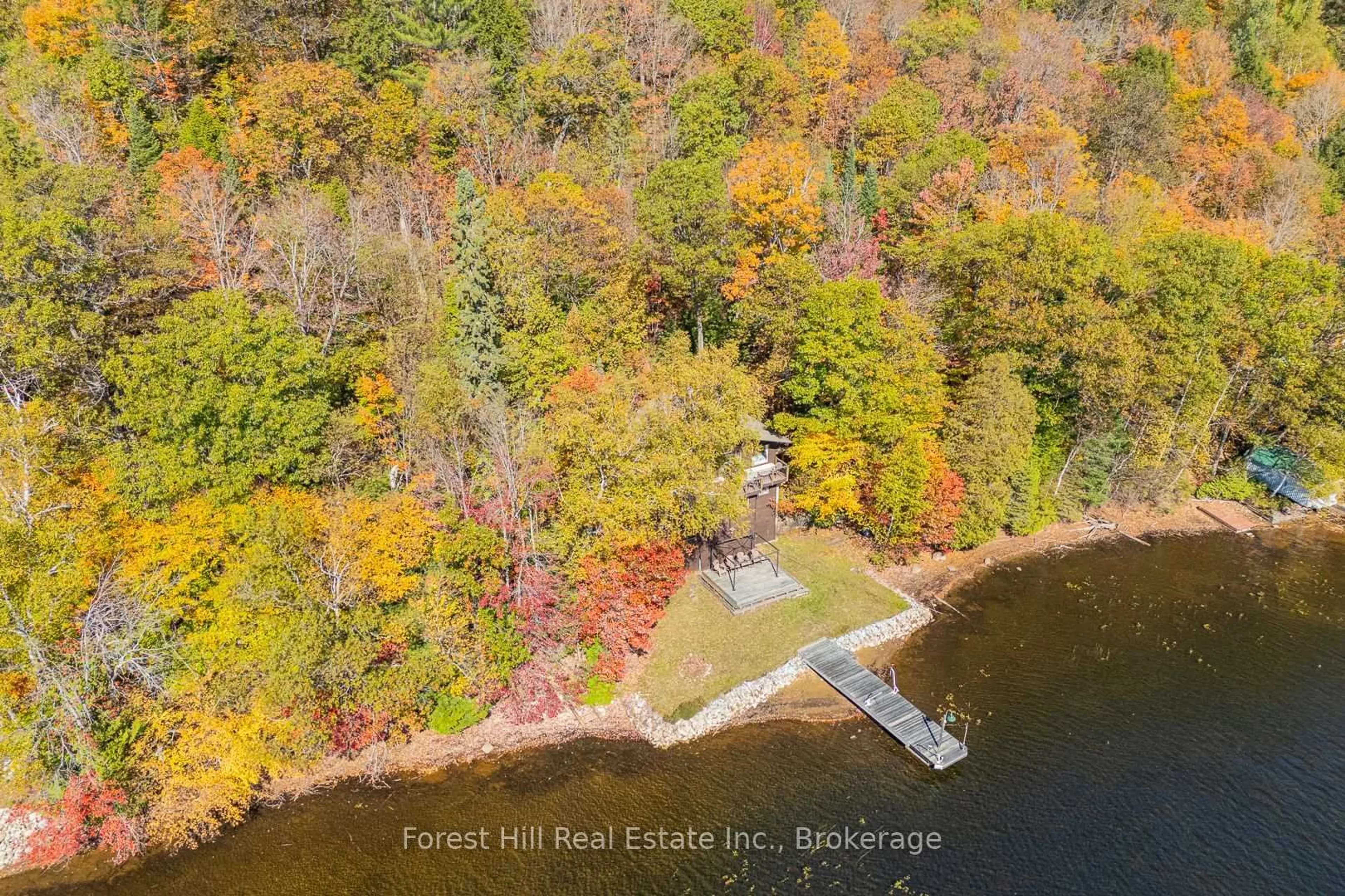 A pic from outside/outdoor area/front of a property/back of a property/a pic from drone, water/lake/river/ocean view for 1187 Ivy Lane, Algonquin Highlands Ontario P0A 1E0