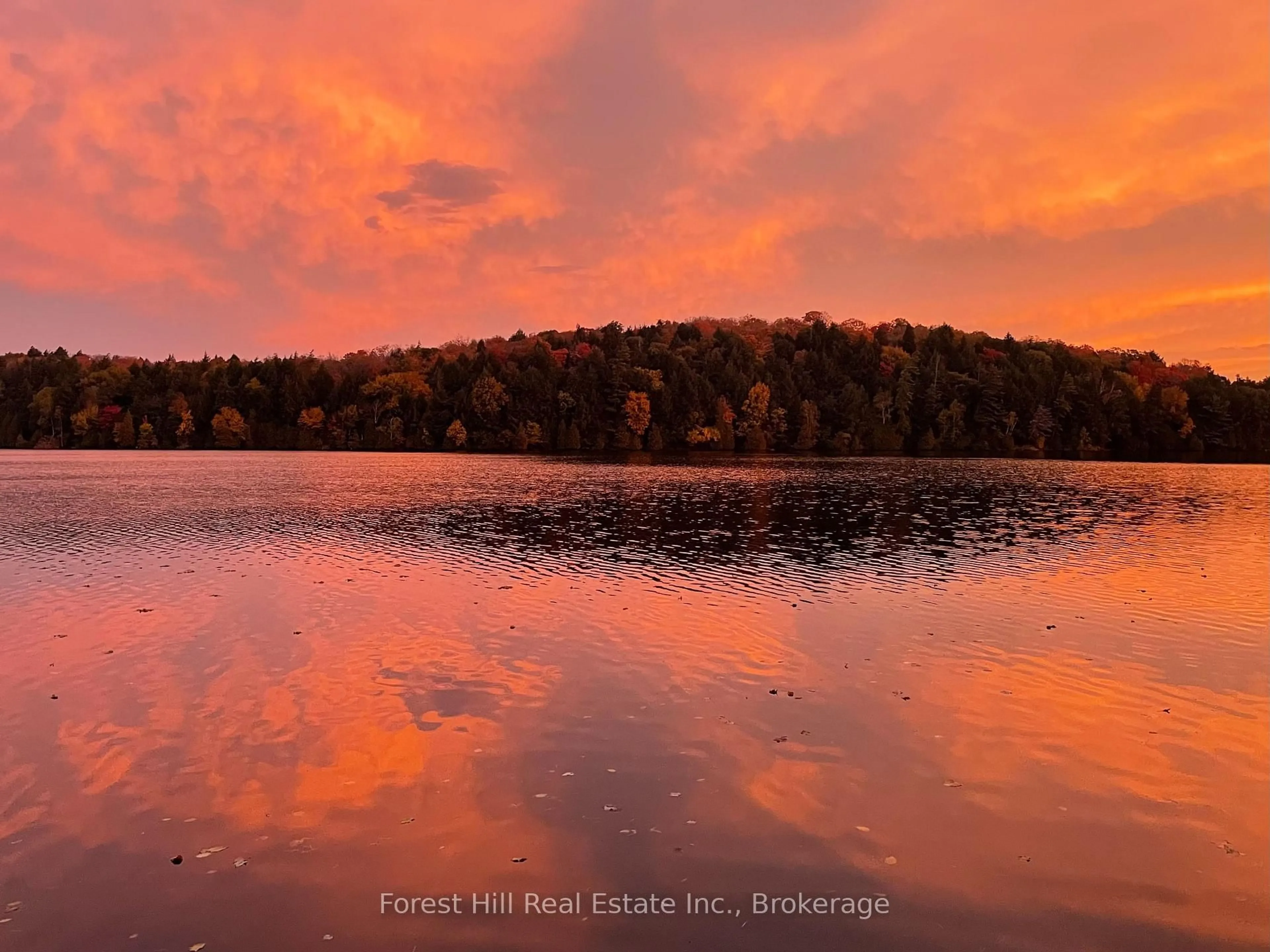 Blurry image for 1168 Inspiration Dr, Algonquin Highlands Ontario P0A 1E0