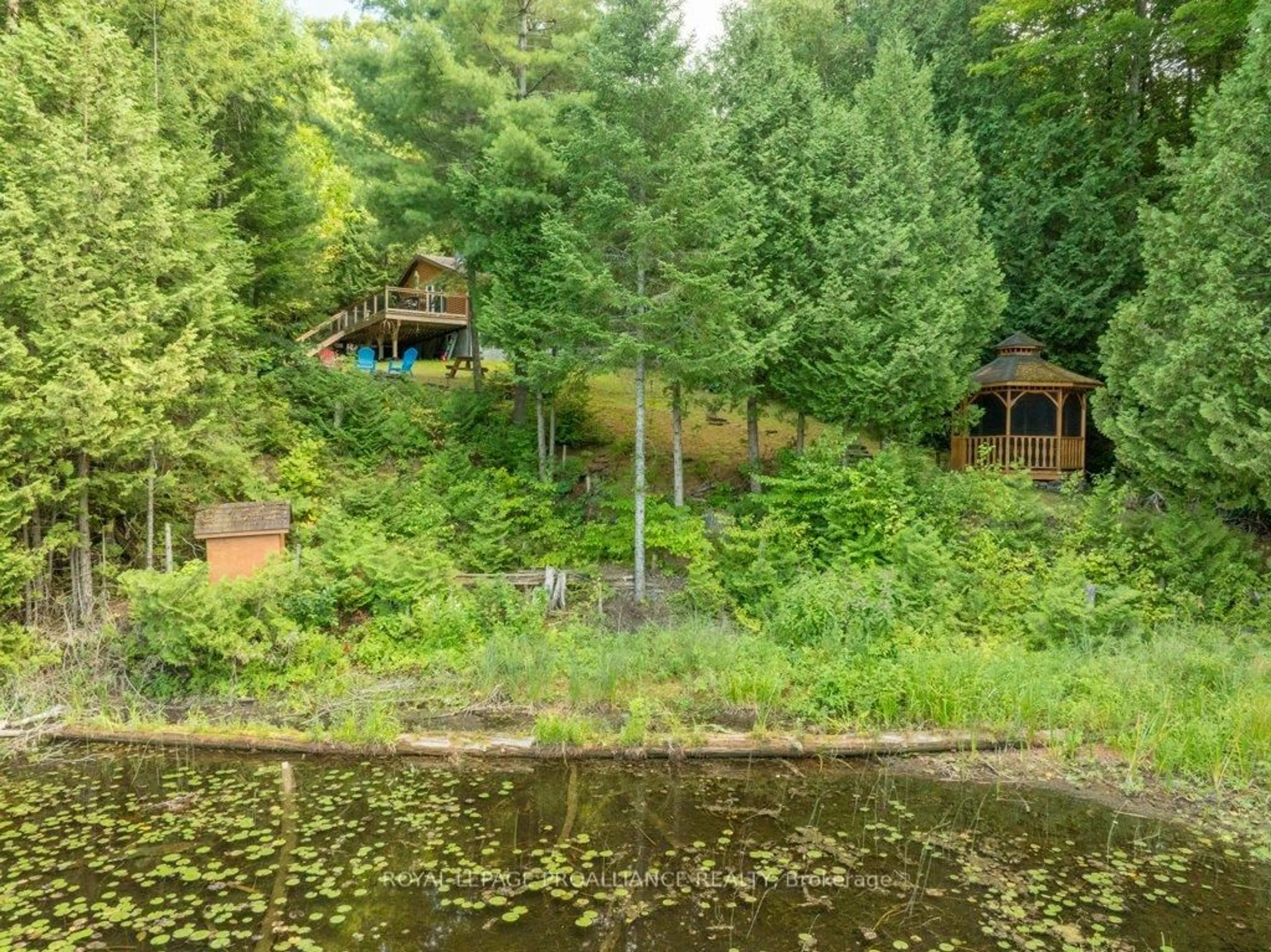A pic from outside/outdoor area/front of a property/back of a property/a pic from drone, forest/trees view for 4325A Road 506, Cloyne Ontario K0H 1K0