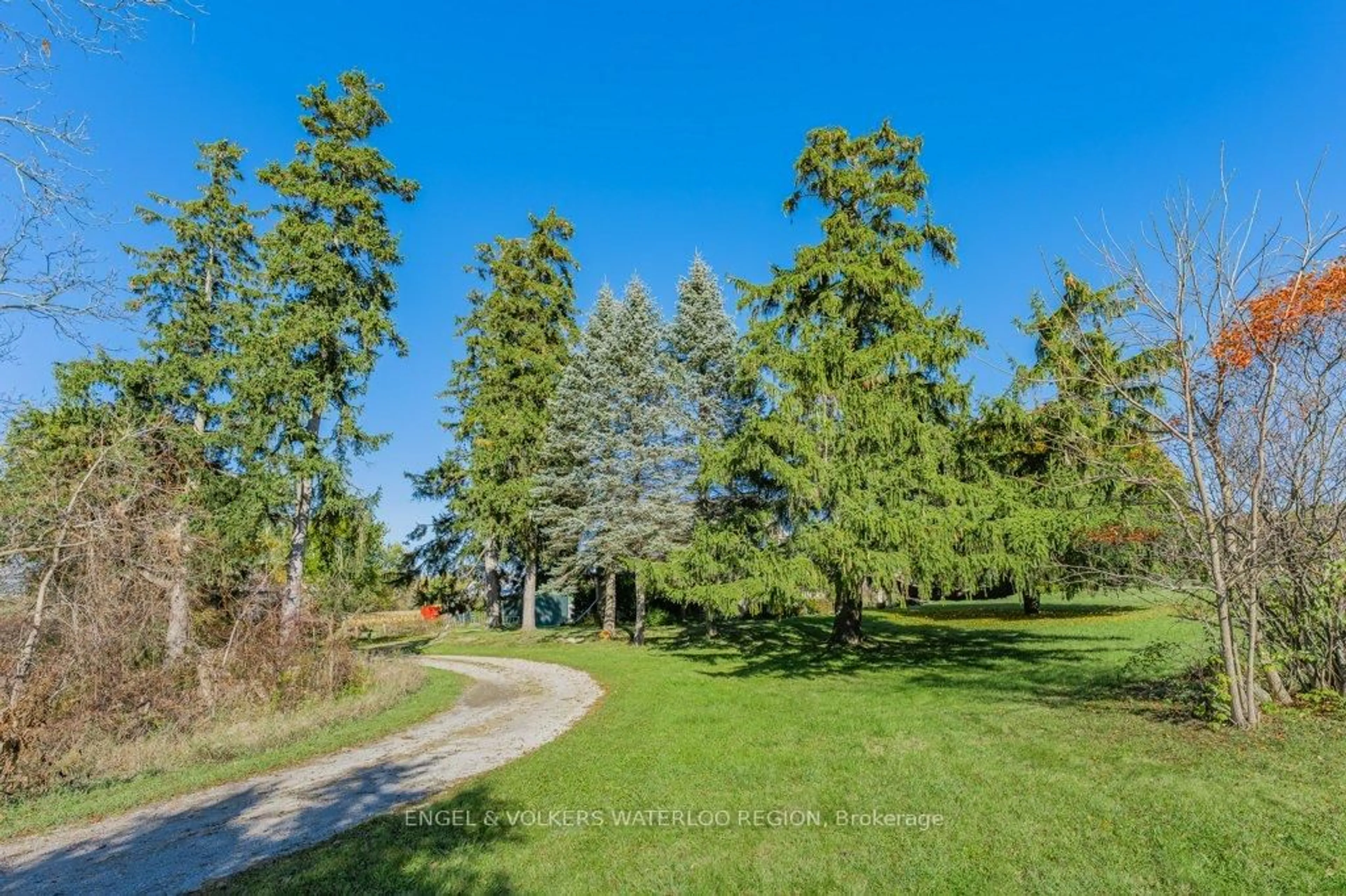 Patio, forest/trees view for 1373 Edworthy Side Rd, North Dumfries Ontario N1R 5S5