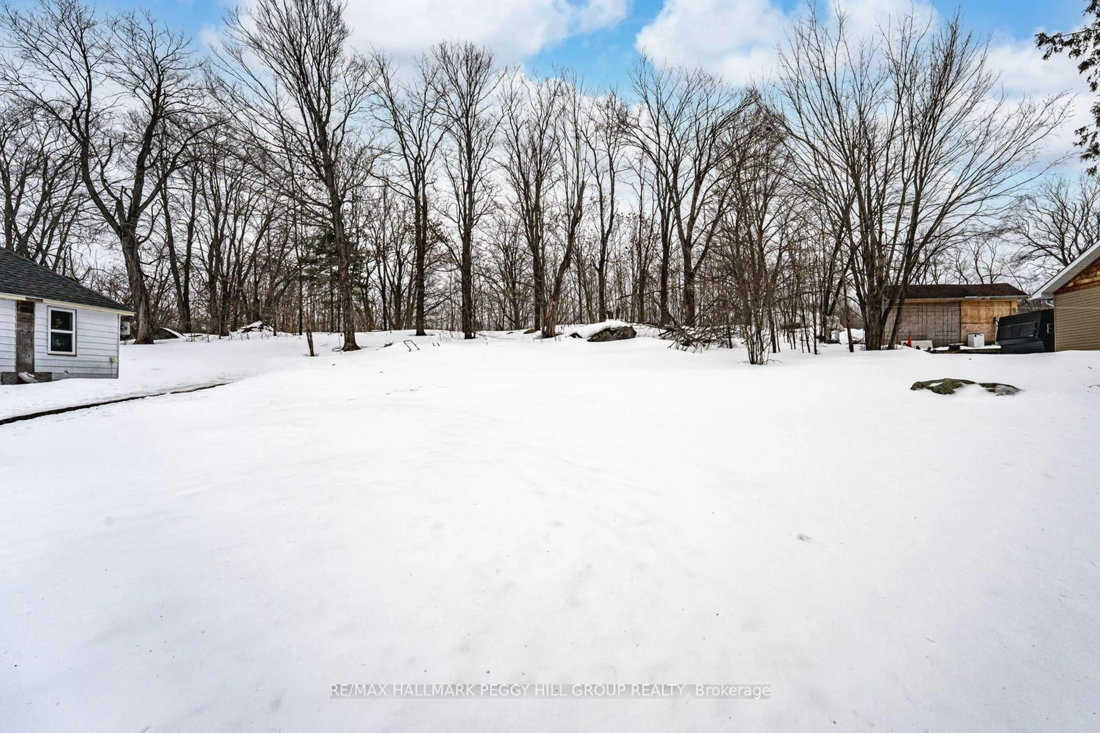 A pic from outside/outdoor area/front of a property/back of a property/a pic from drone, forest/trees view for 253 High St, Georgian Bay Ontario P0C 1H0