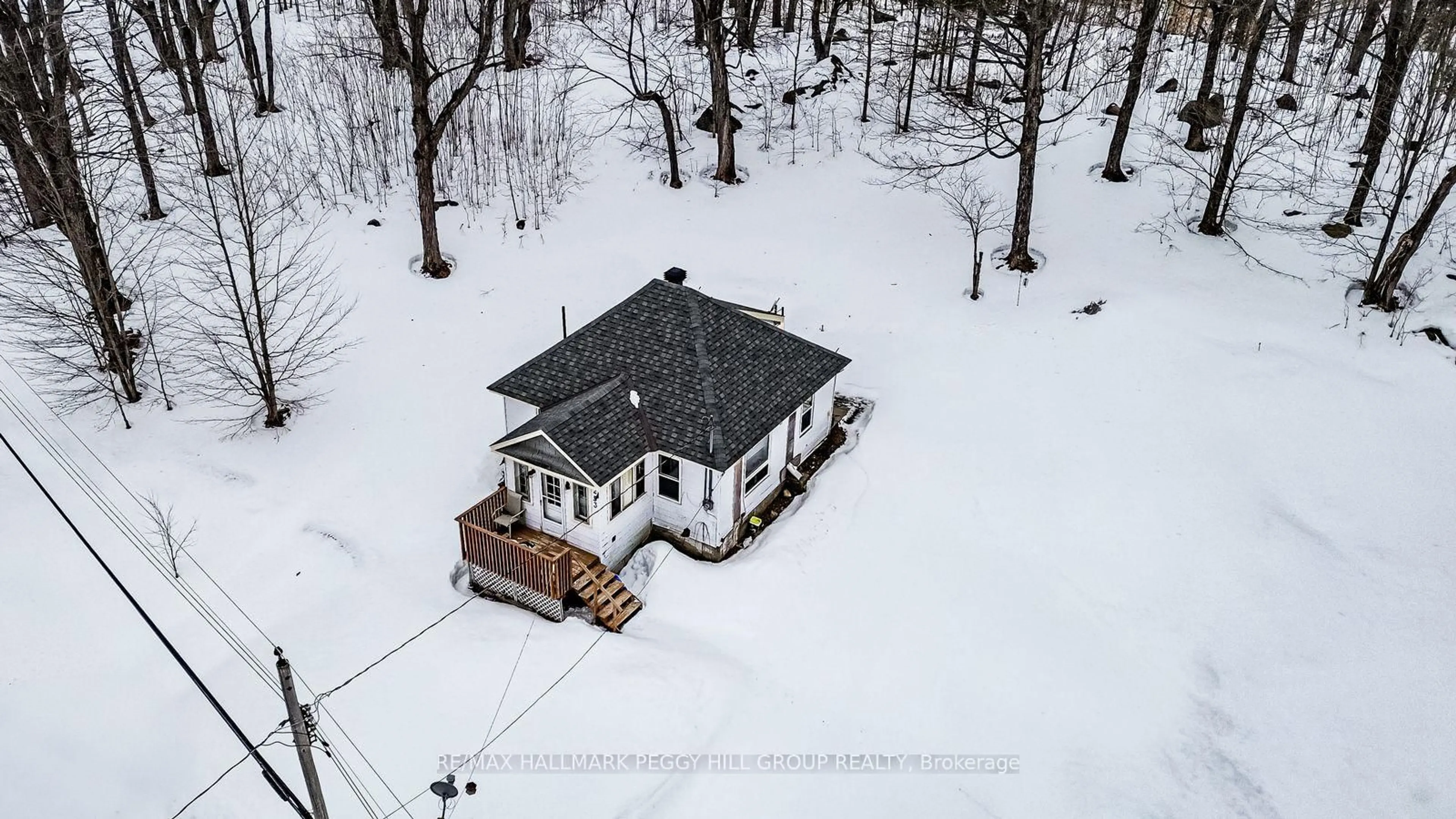 A pic from outside/outdoor area/front of a property/back of a property/a pic from drone, building for 253 High St, Georgian Bay Ontario P0C 1H0