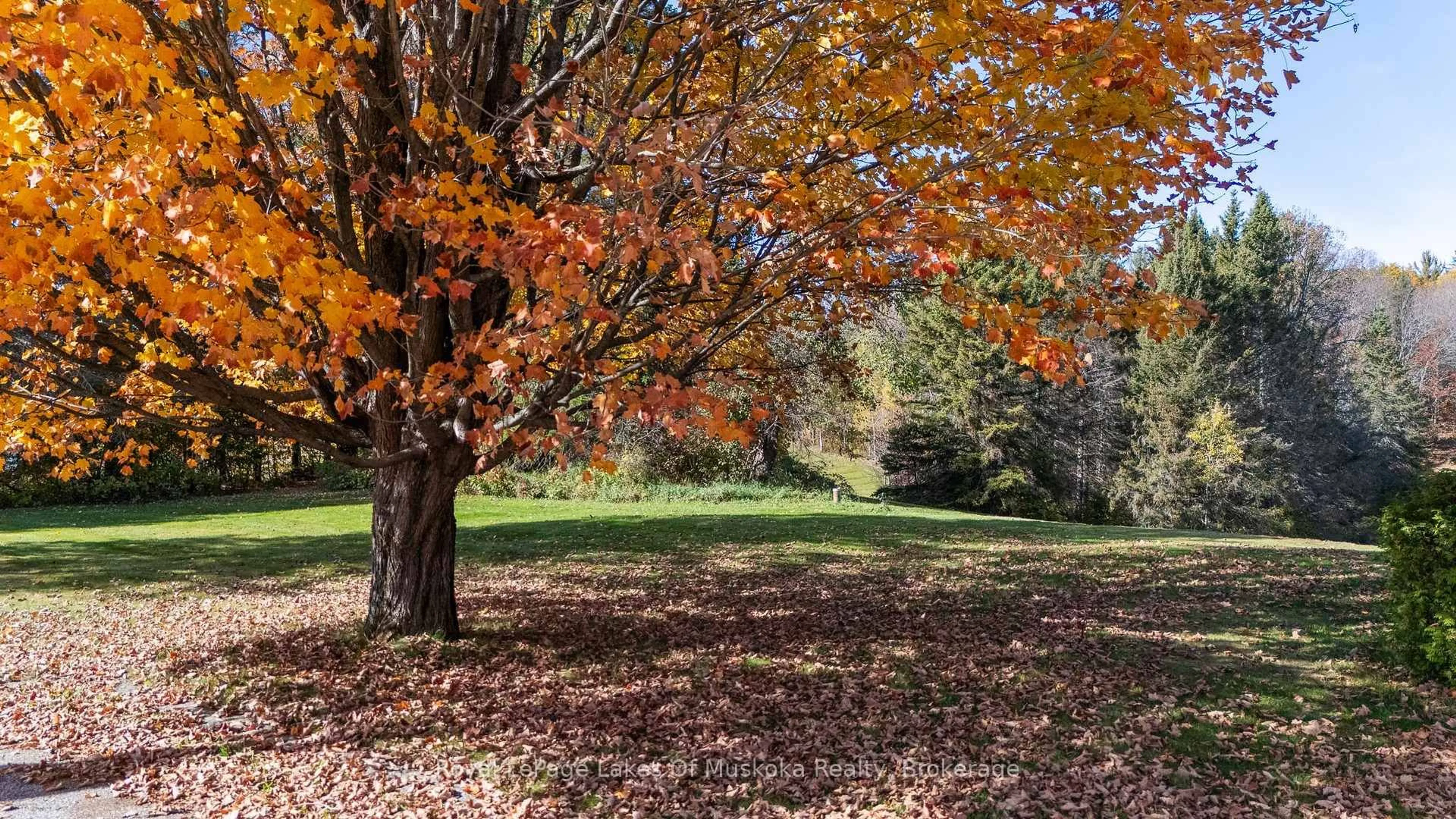 Unknown for 96 520 Highway, Burk's Falls Ontario P0C 1A0