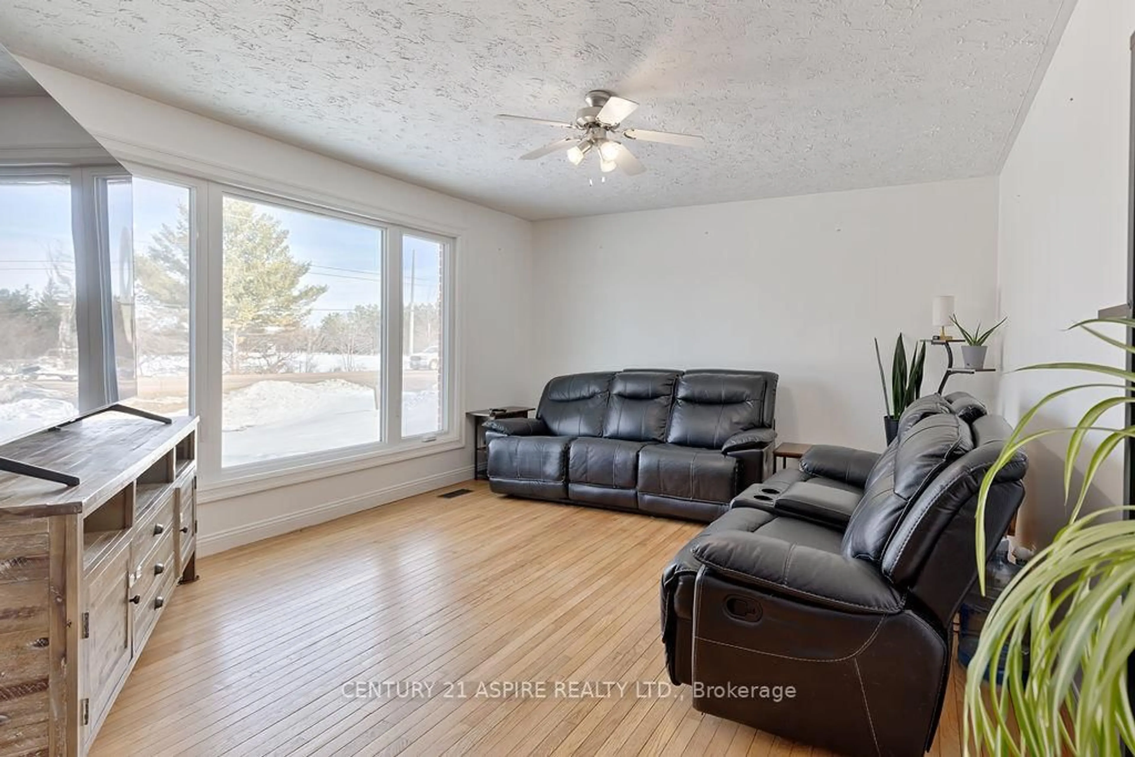 Living room with furniture, wood/laminate floor for 3241 B Line Rd, Petawawa Ontario K8A 6W7