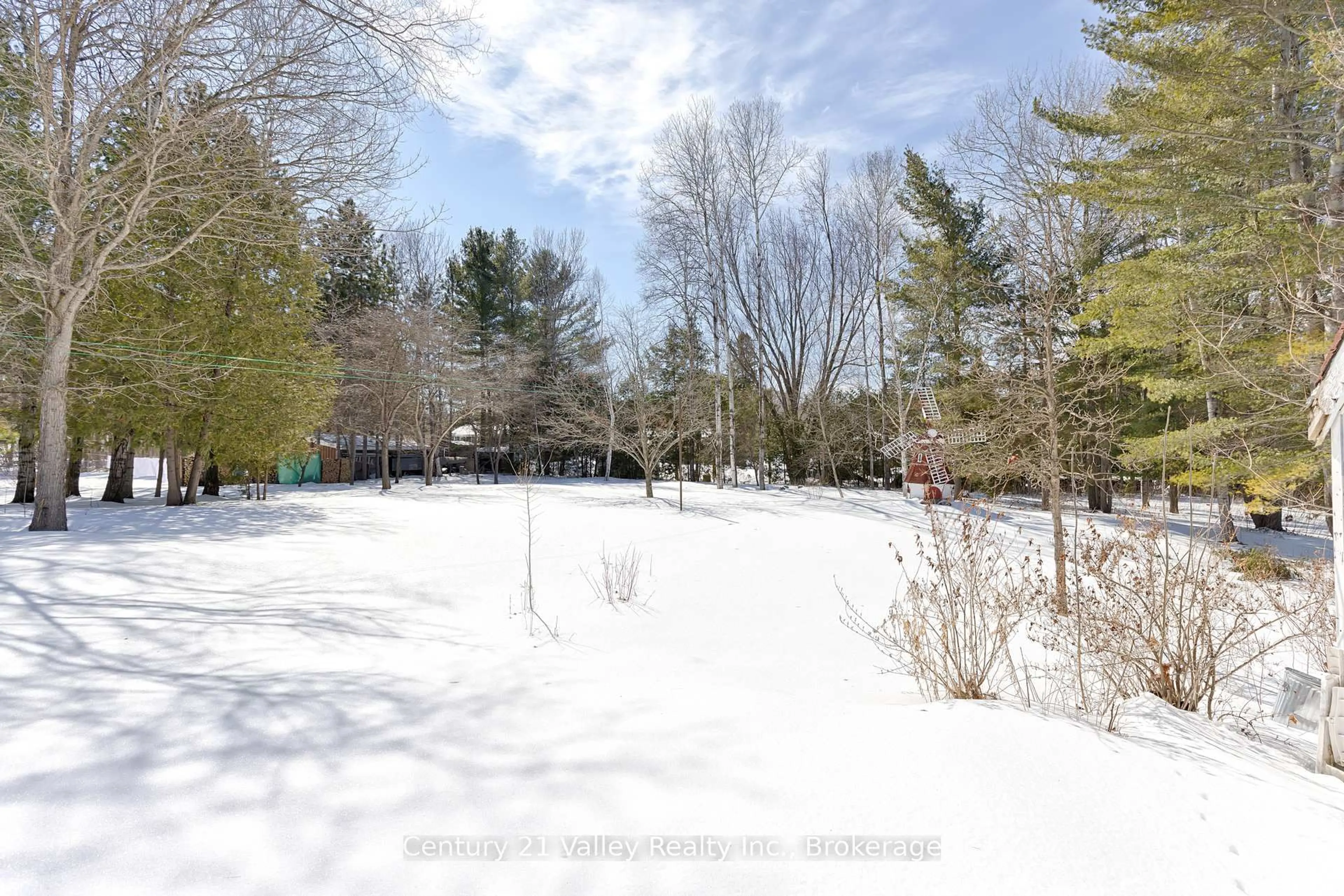 A pic from outside/outdoor area/front of a property/back of a property/a pic from drone, forest/trees view for 775 Pinegrove Cres, Petawawa Ontario K8A 7E3