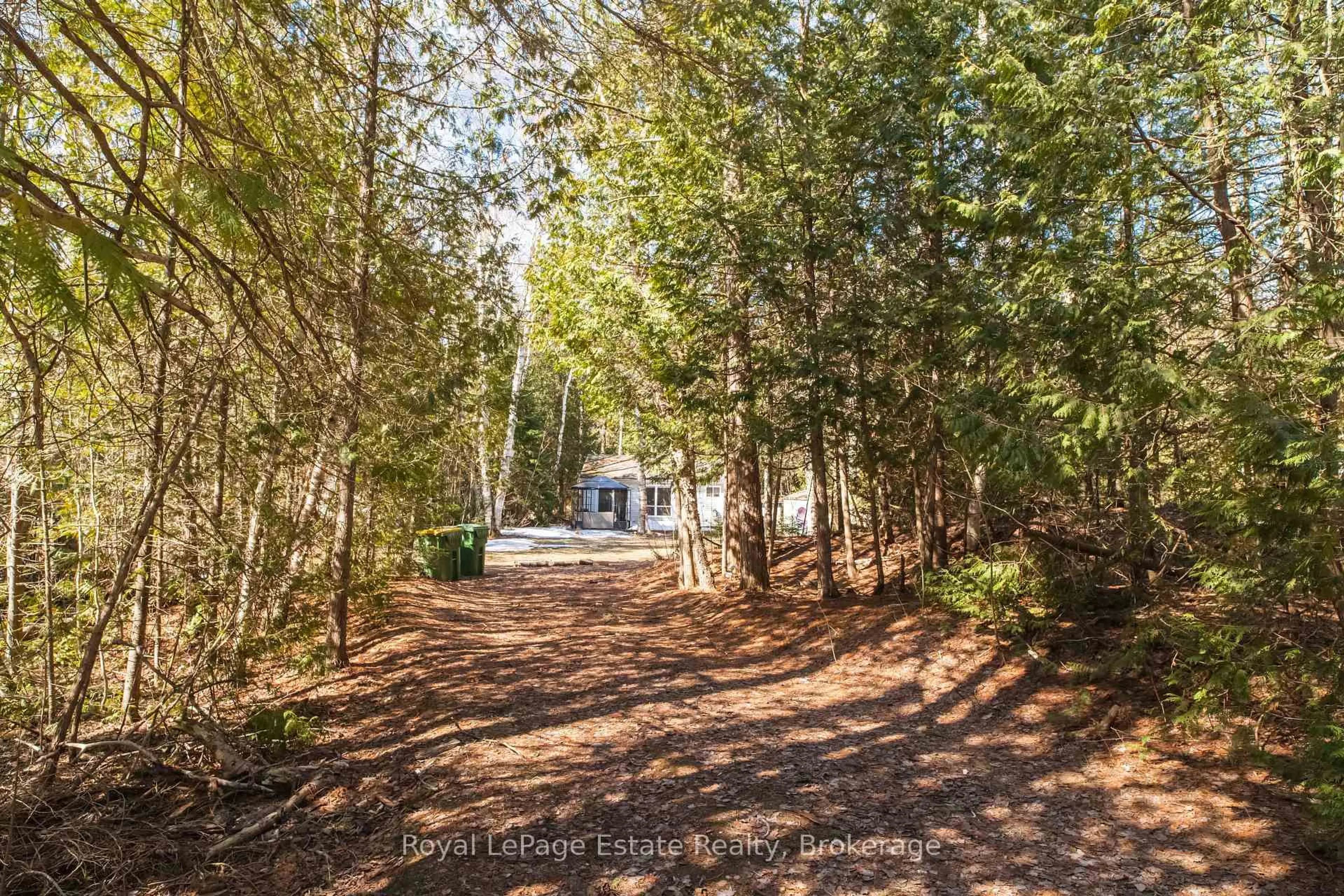 A pic from outside/outdoor area/front of a property/back of a property/a pic from drone, forest/trees view for 49 Thompson Ave, Native Leased Lands Ontario N0H 2G0