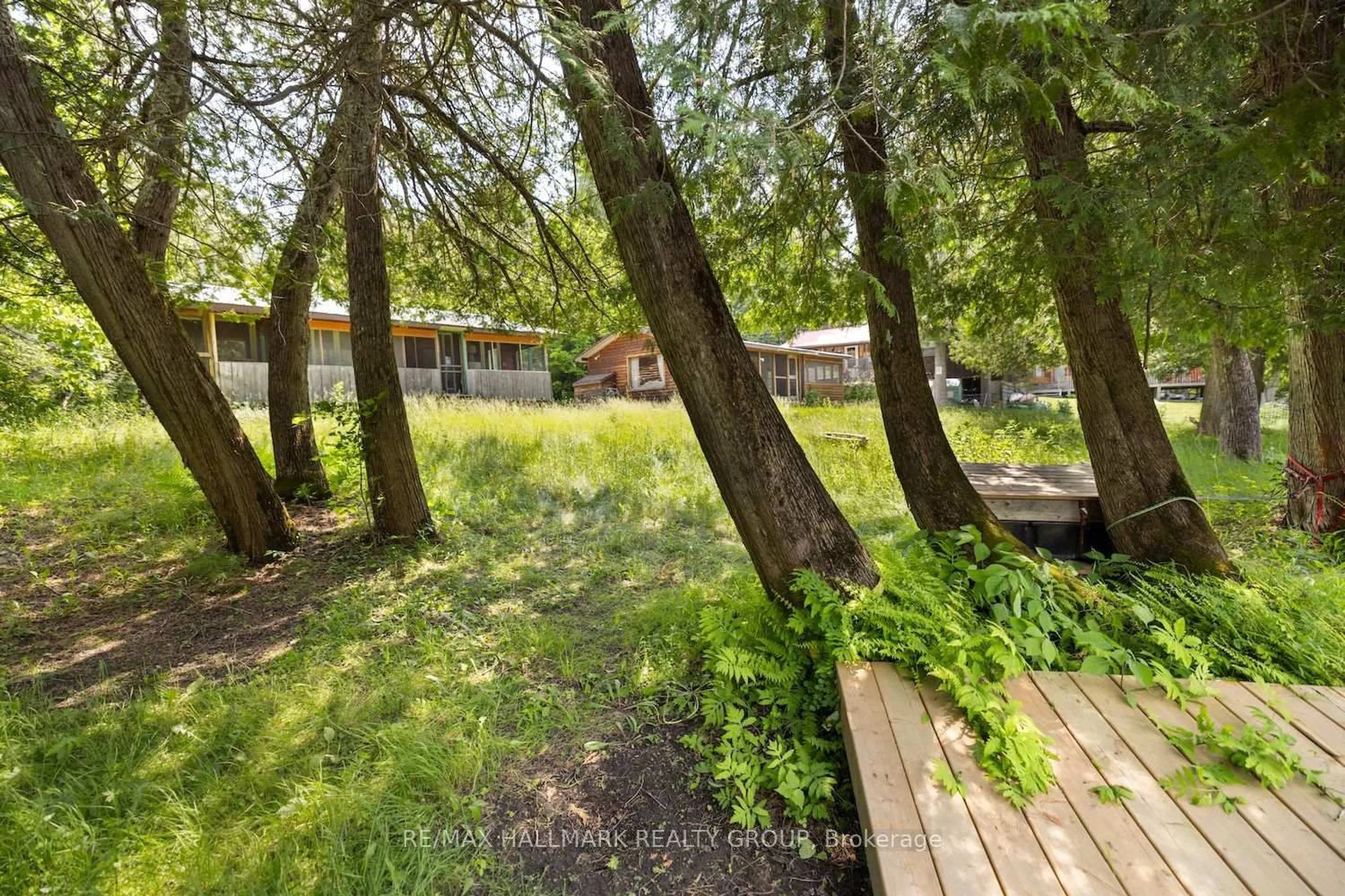 Patio, forest/trees view for 115 Clyde Lane, Lanark Ontario K0G 1K0
