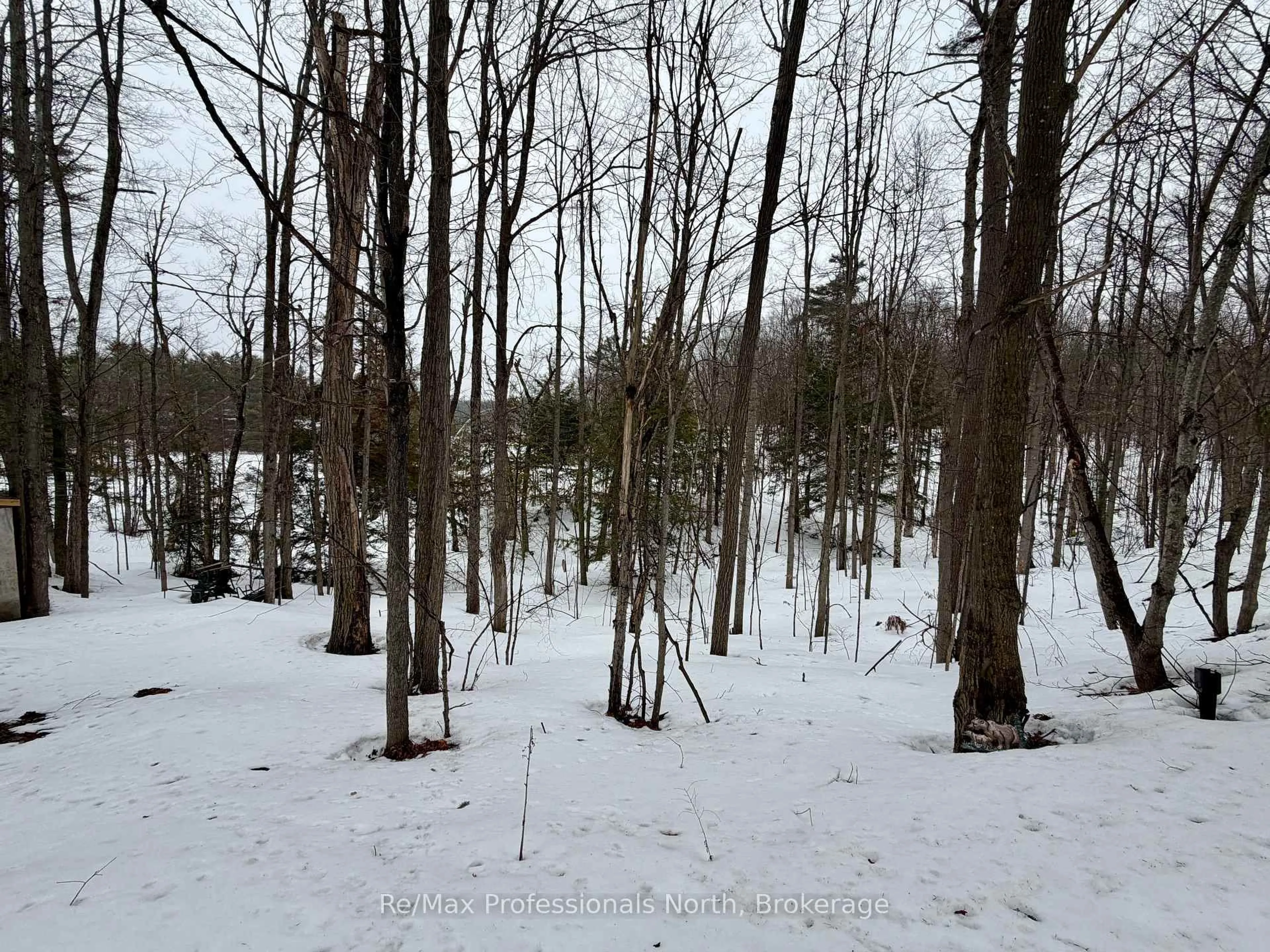 Blurry image for 1007 RACOON Rd #94, Gravenhurst Ontario P1P 0C5