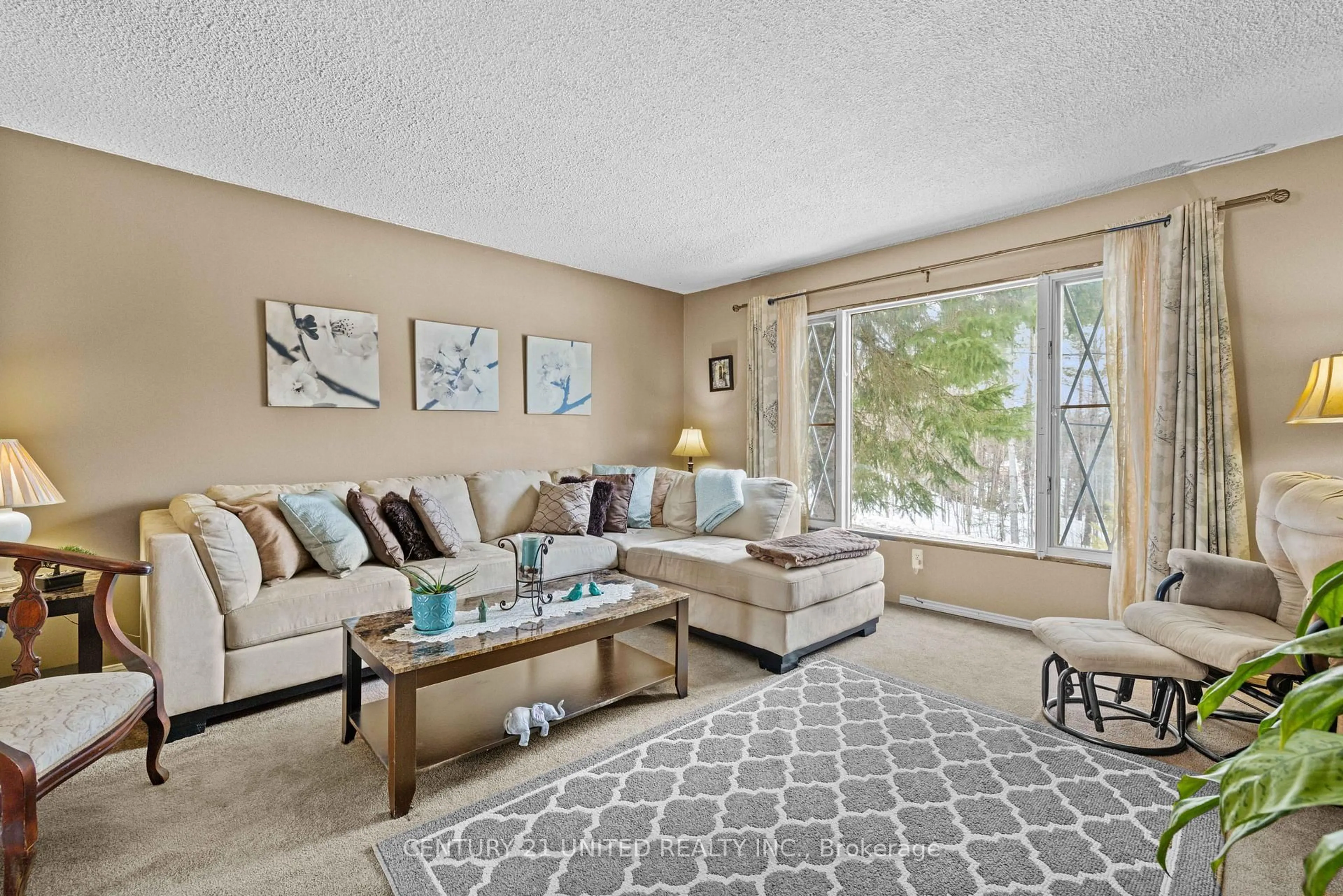 Living room with furniture, carpet floor for 70 McFadden Rd, North Kawartha Ontario K0L 1A0