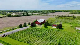 history photo preview