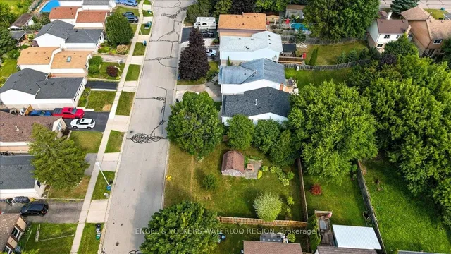 71 Bradbury Cres, Cambridge 4