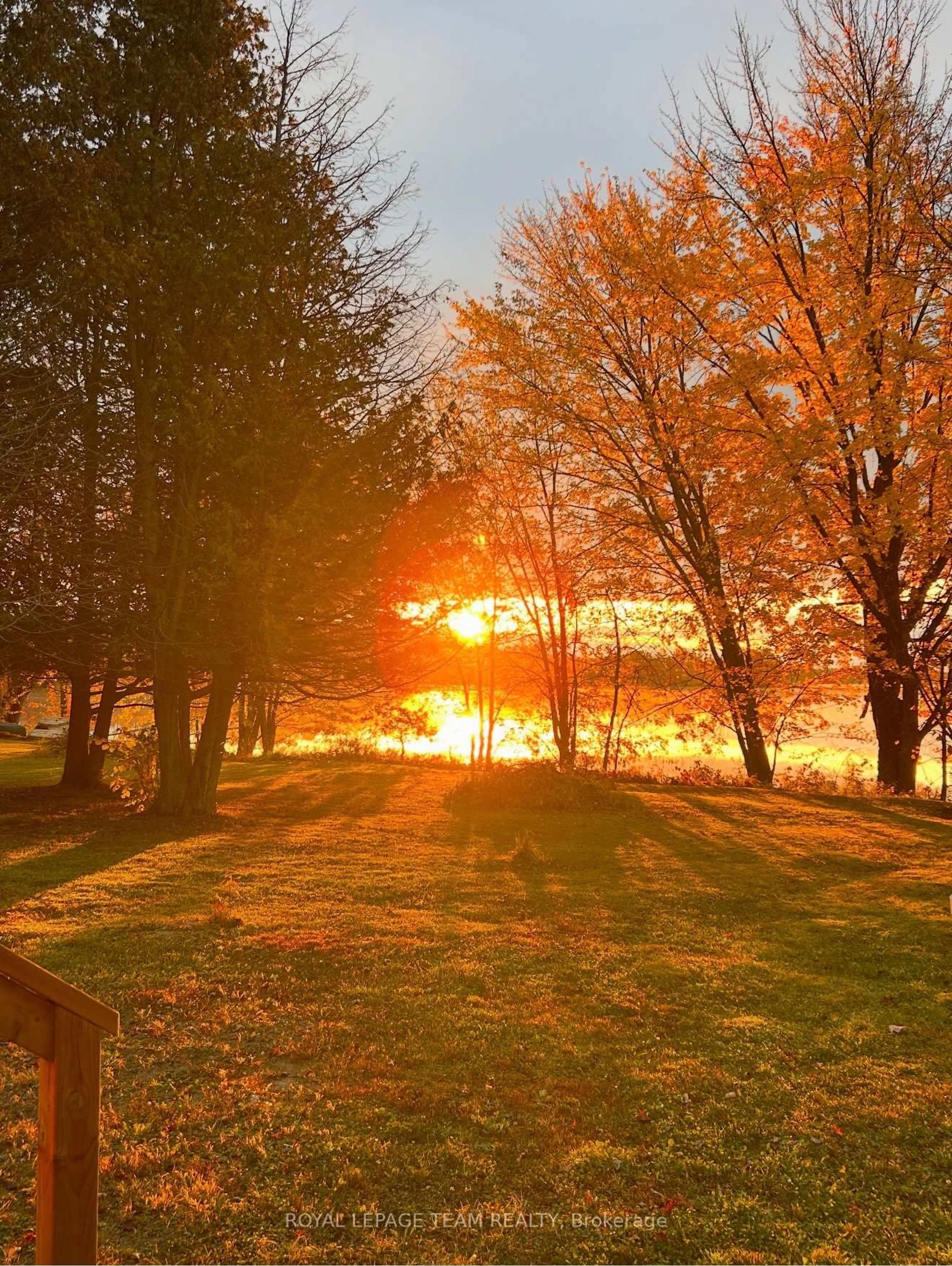 Blurry image for 39 Columbine Lane, Eganville Ontario K0J 1T0