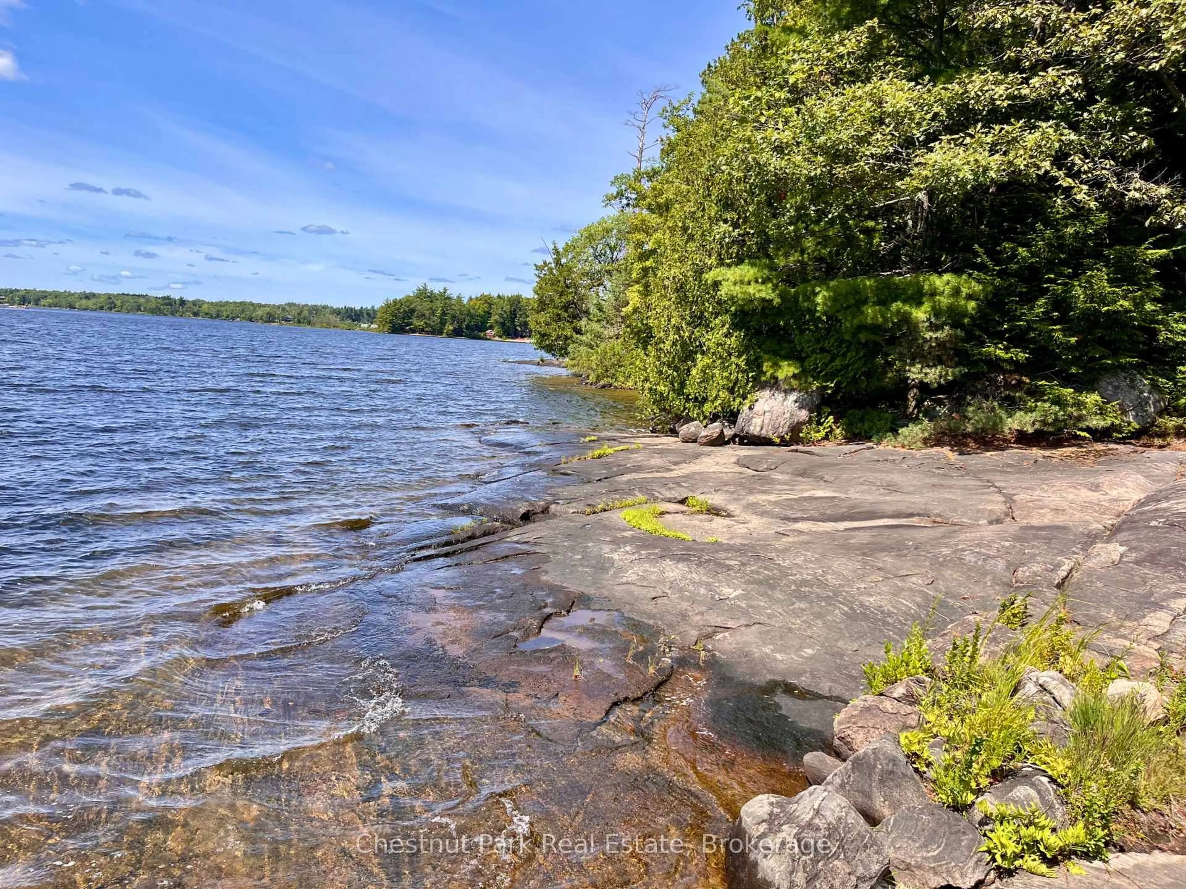 Unknown for 1119 Trafalgar Bay Rd, Muskoka Lakes Ontario P0C 1A0