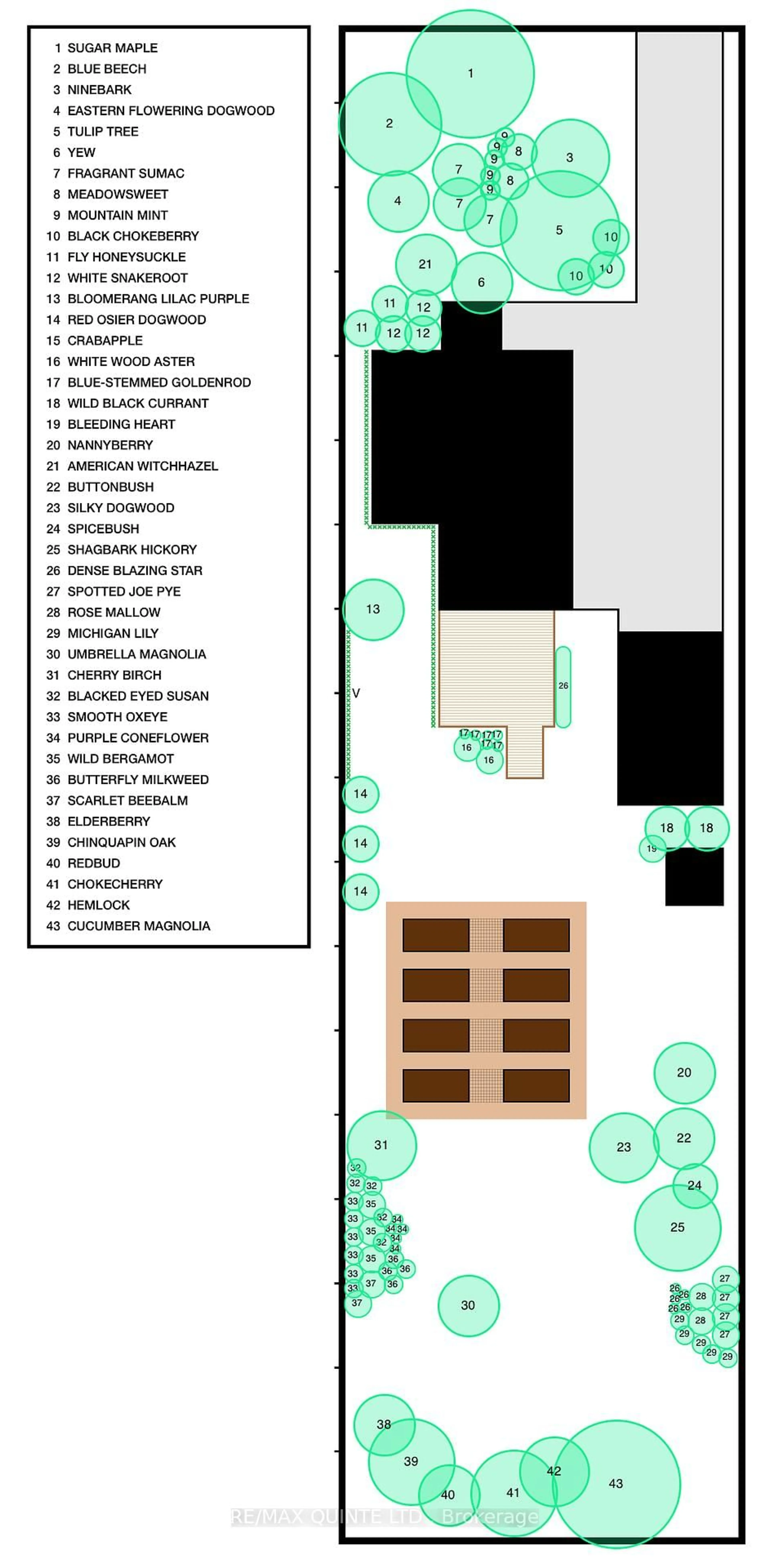 Floor plan for 9 Wilkins St, Belleville Ontario K8P 1P2