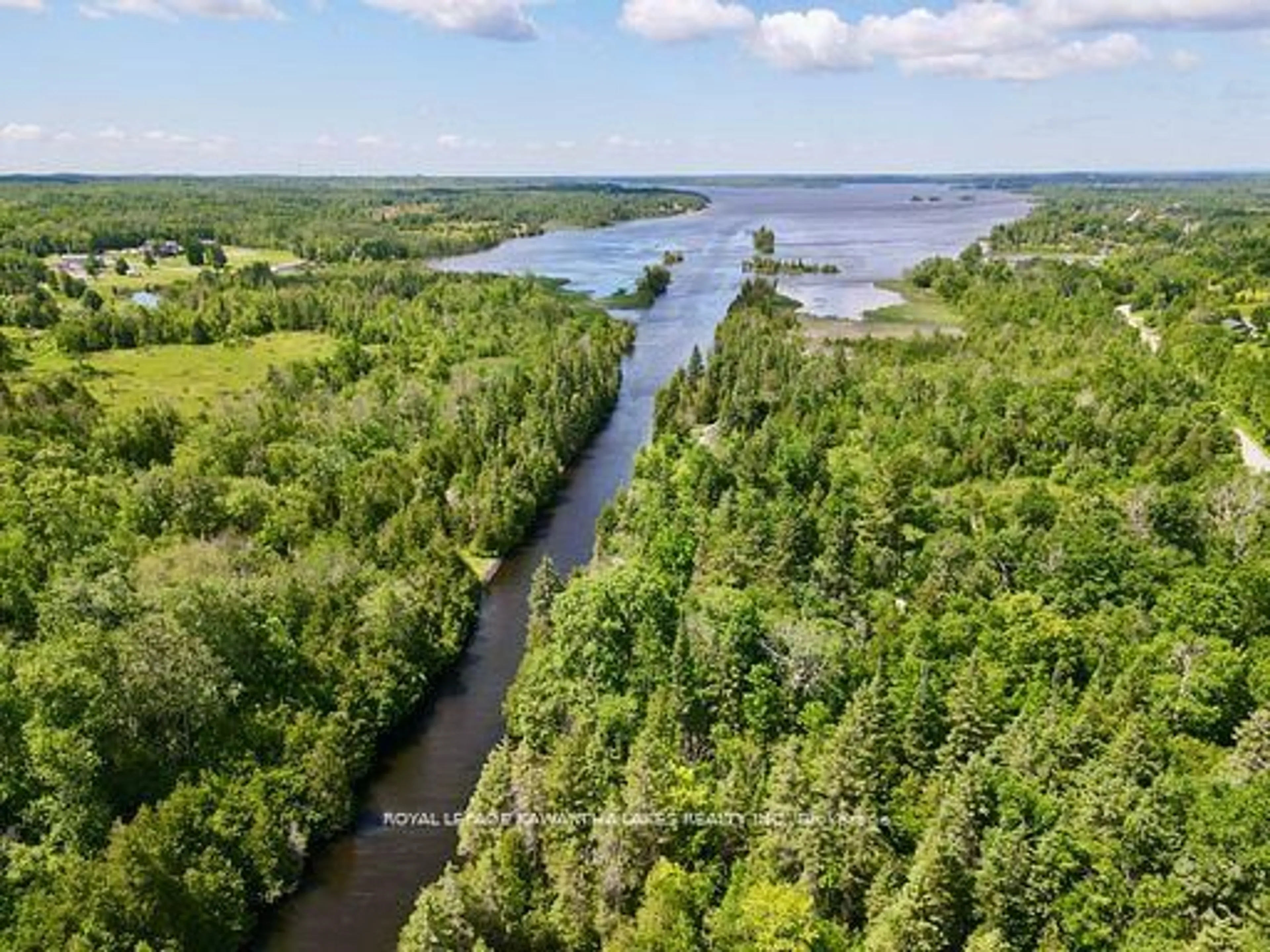 A pic from outside/outdoor area/front of a property/back of a property/a pic from drone, water/lake/river/ocean view for 81 McGuire Beach Rd, Kawartha Lakes Ontario K0M 2B0