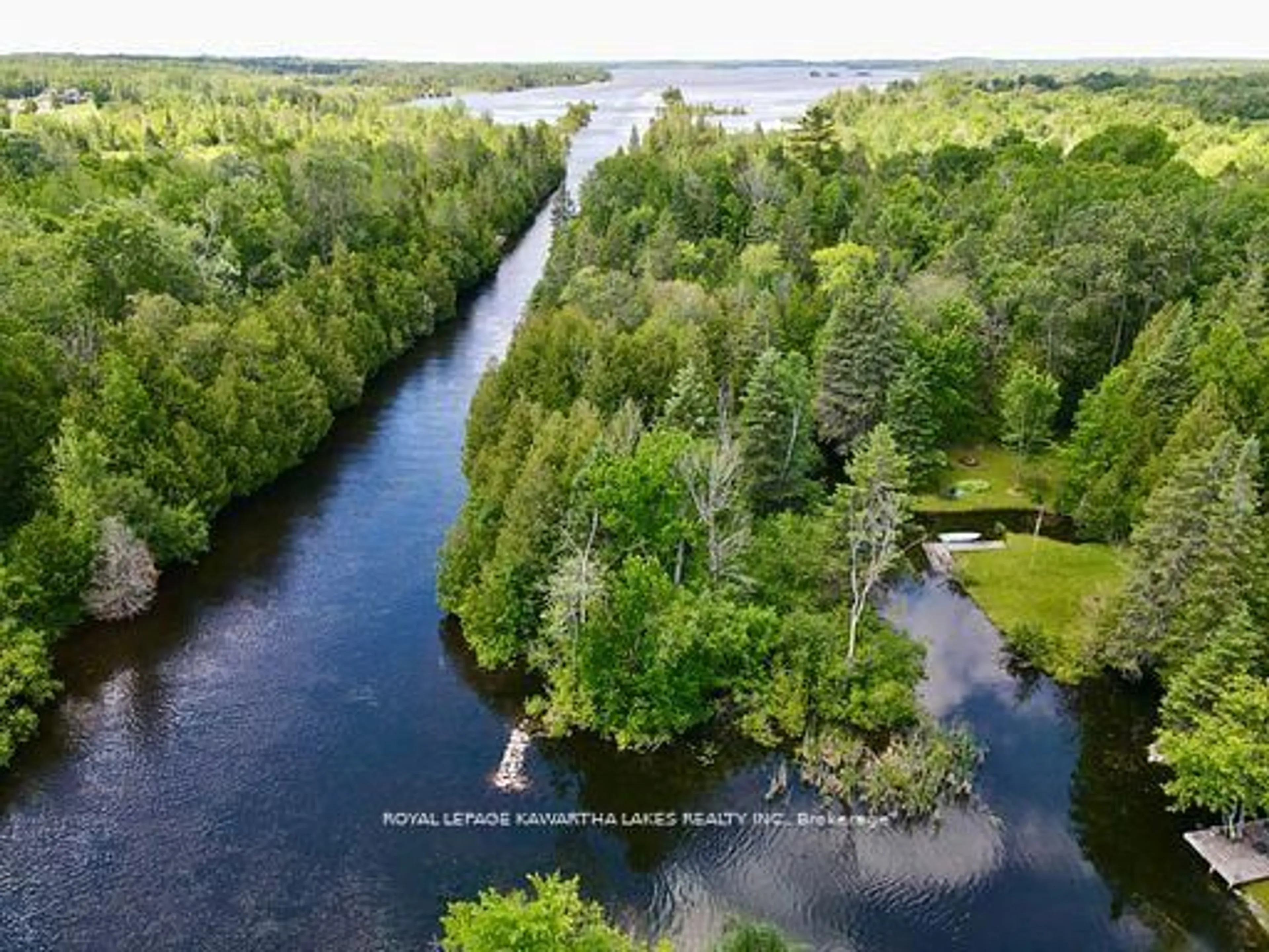 A pic from outside/outdoor area/front of a property/back of a property/a pic from drone, water/lake/river/ocean view for 81 McGuire Beach Rd, Kawartha Lakes Ontario K0M 2B0