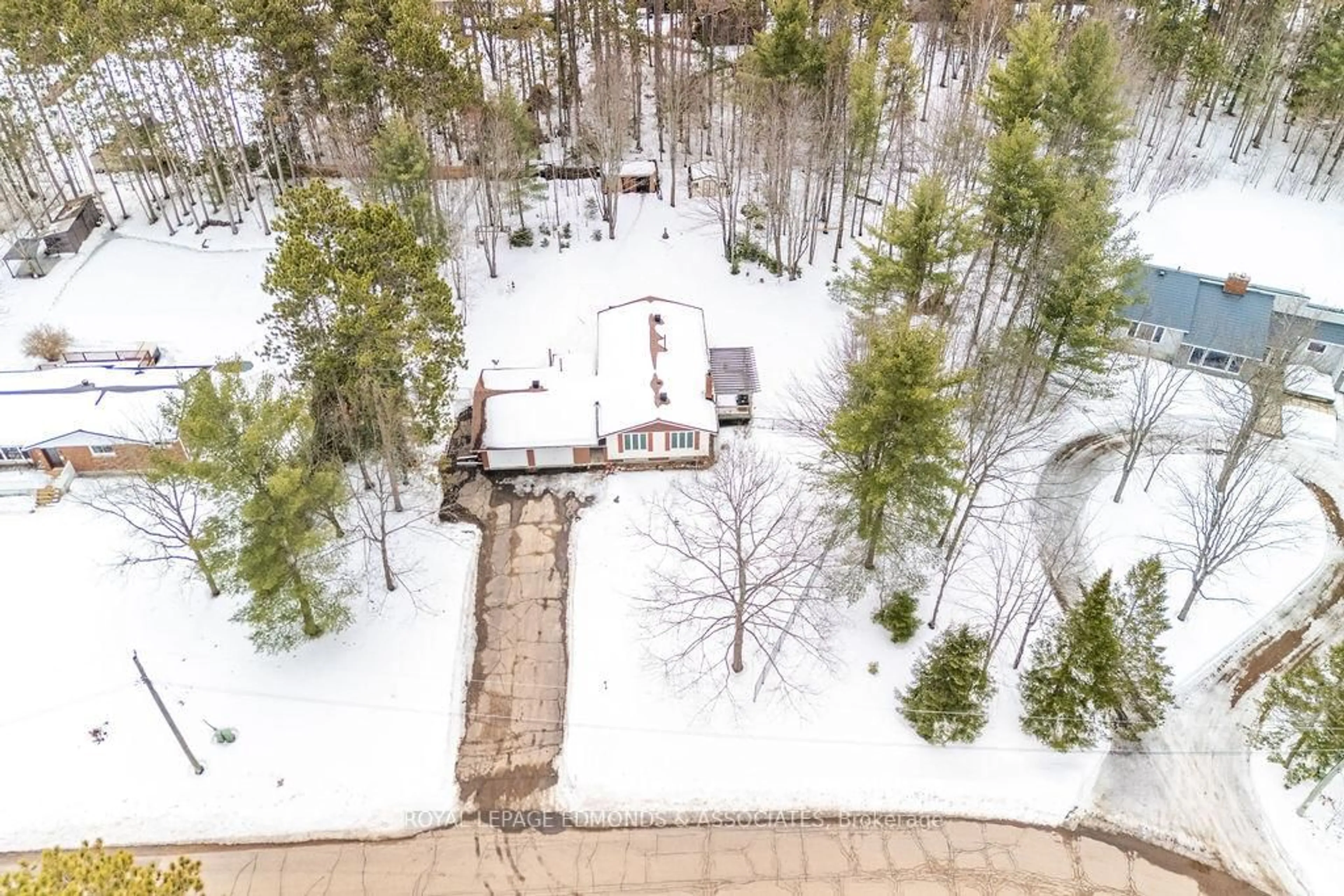 A pic from outside/outdoor area/front of a property/back of a property/a pic from drone, forest/trees view for 15 Mckay St, Petawawa Ontario K8H 3G7