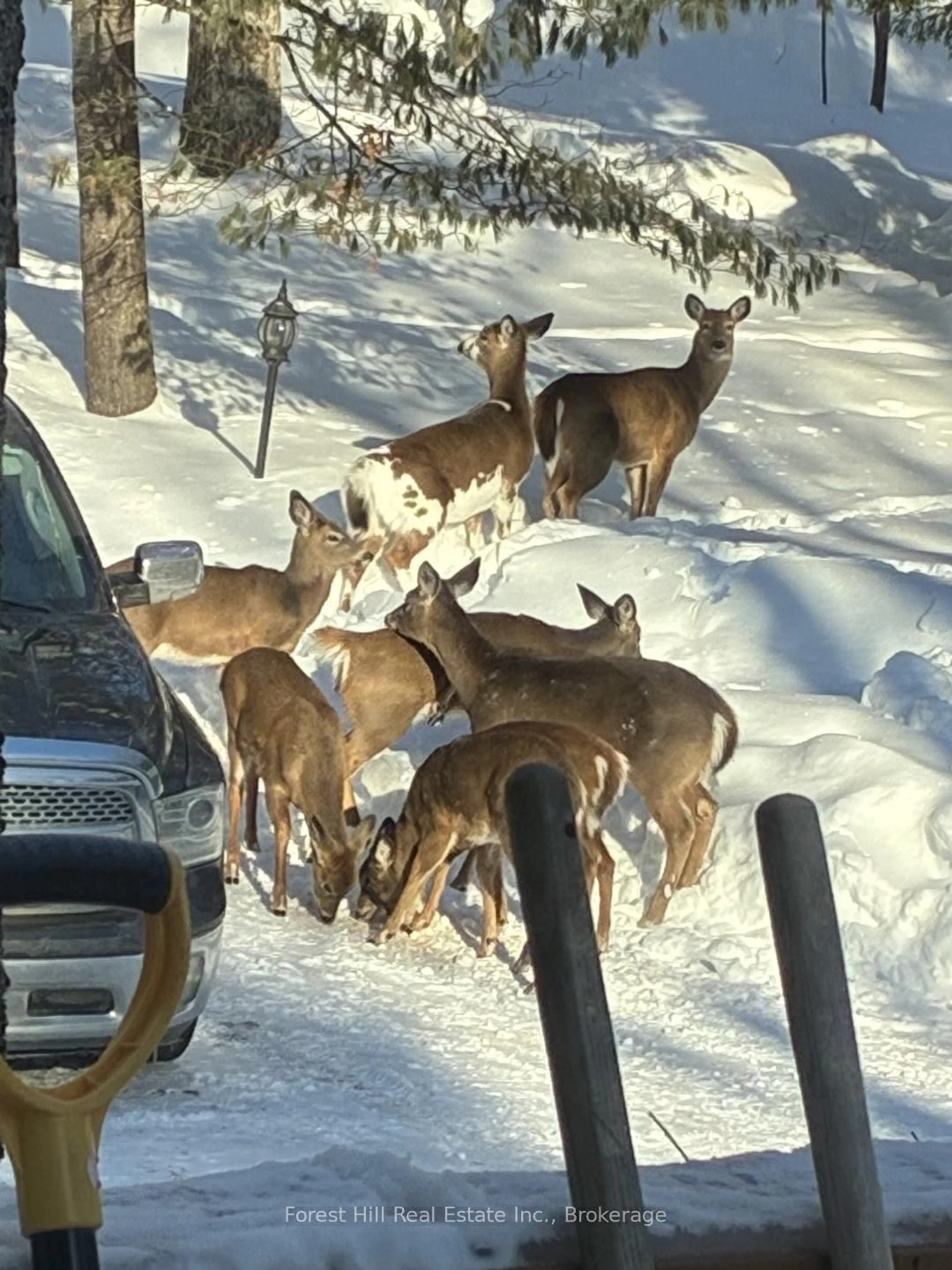 Unknown for 1289 Delbrooke Rd, Lake of Bays Ontario P0H 1H0