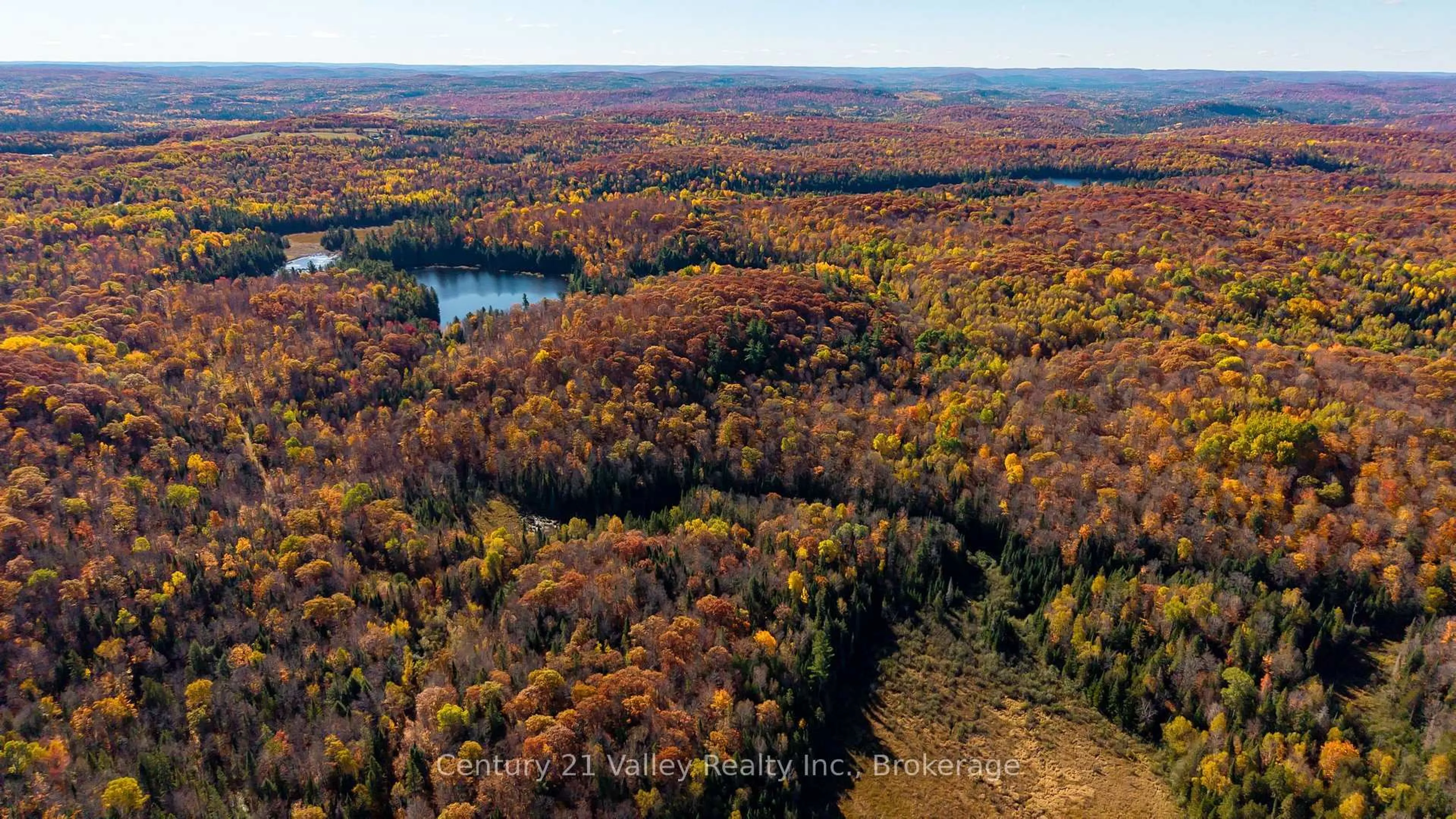 A pic from outside/outdoor area/front of a property/back of a property/a pic from drone, forest/trees view for 170 Shavens Lake Rd, Eganville Ontario K0J 1T0
