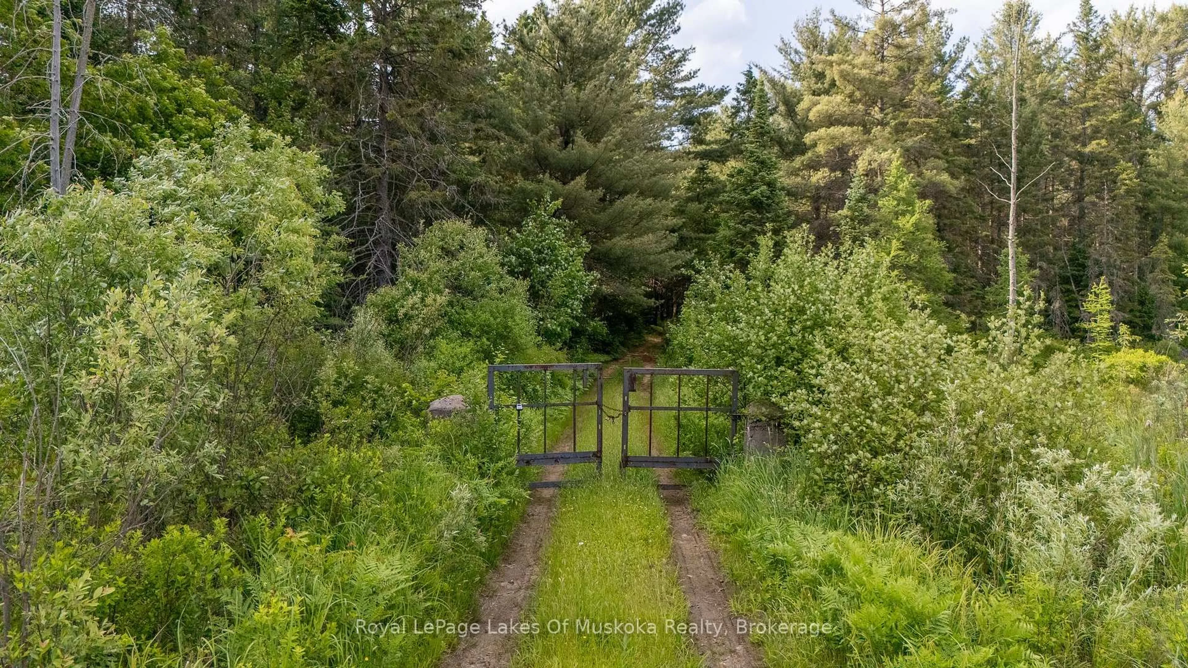 A pic from outside/outdoor area/front of a property/back of a property/a pic from drone, forest/trees view for 1958 518 Highway, McMurrich/Monteith Ontario P0A 1Y0