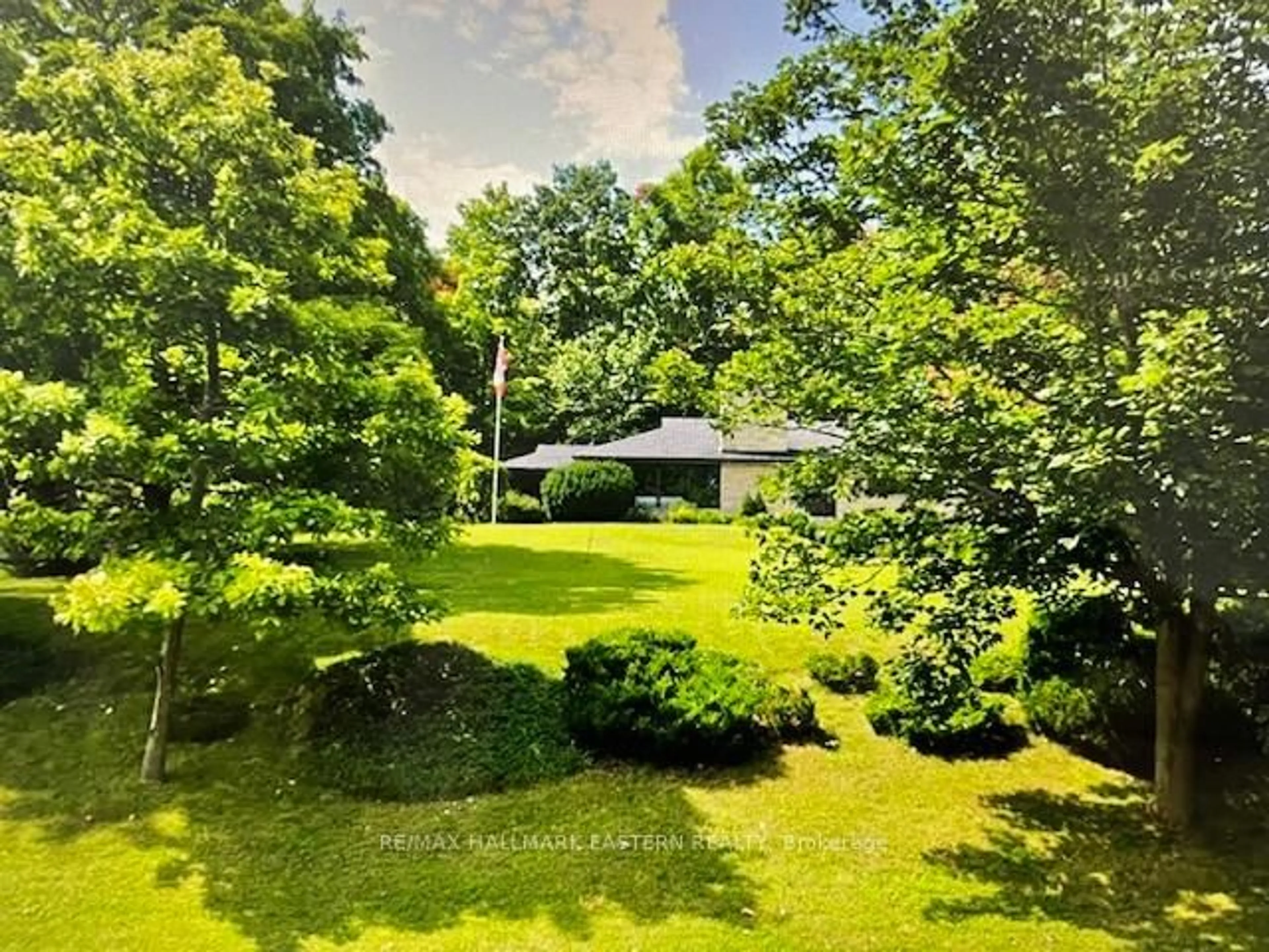 A pic from outside/outdoor area/front of a property/back of a property/a pic from drone, forest/trees view for 143 Ridgewood Rd, Peterborough Ontario K9J 1P2