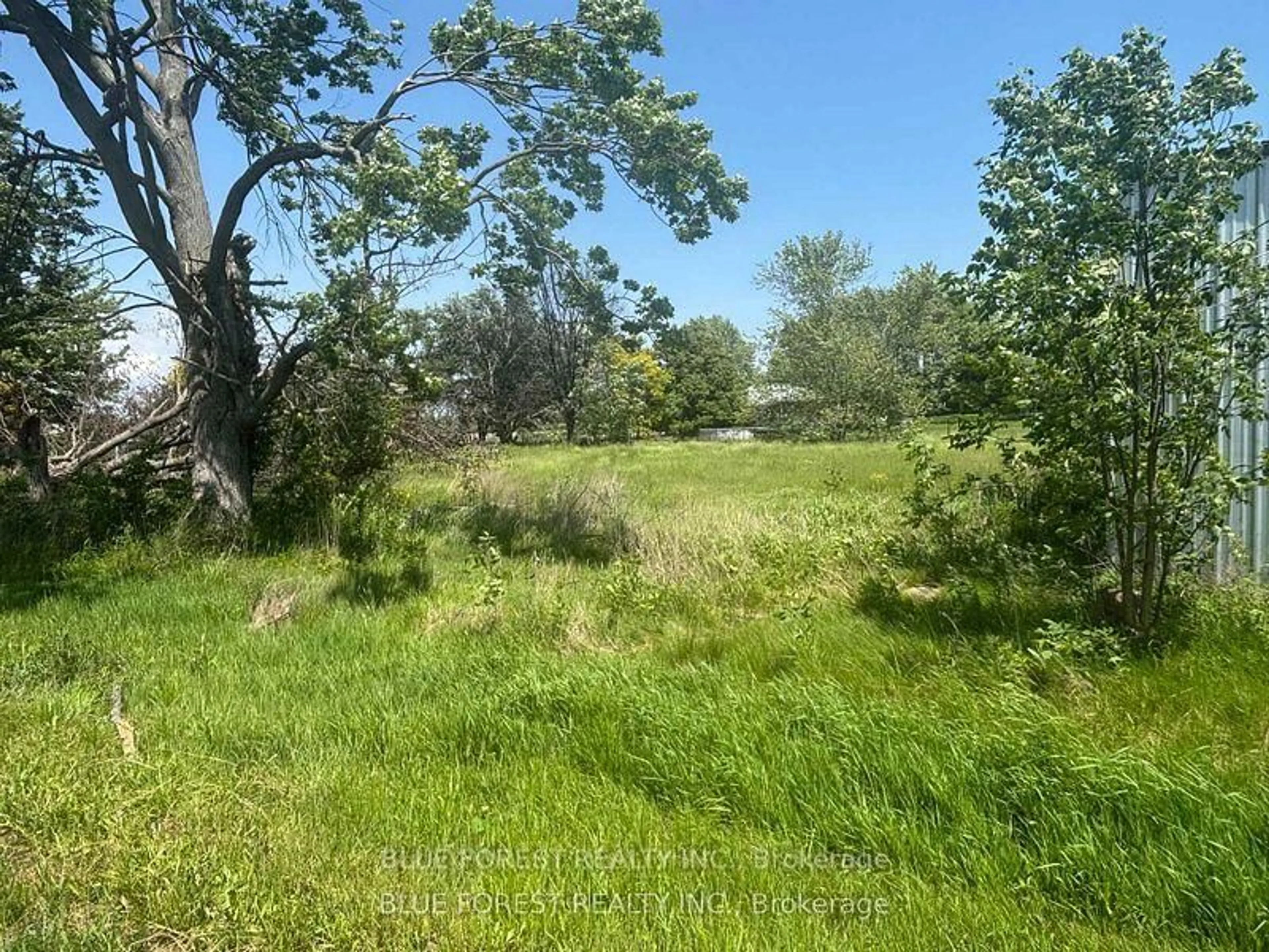 A pic from outside/outdoor area/front of a property/back of a property/a pic from drone, forest/trees view for 2304 North Shore Dr, Haldimand Ontario N0A 1K0