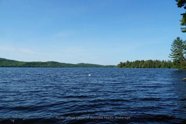 1173 Highway 60, South Algonquin 2