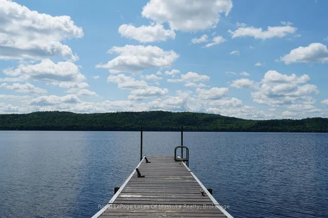 1173 Highway 60, South Algonquin 3
