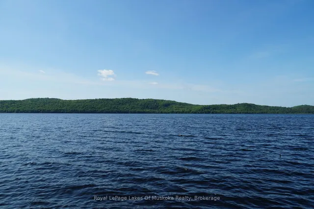 1173 Highway 60, South Algonquin 4