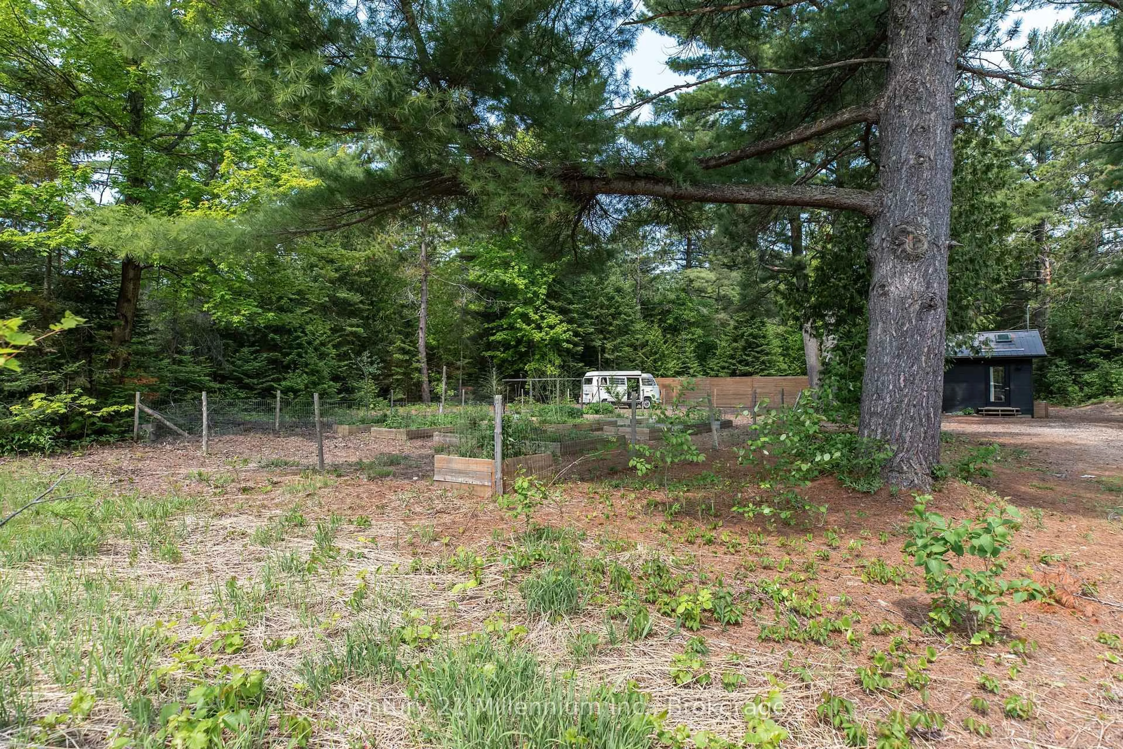 Shed for 204 Ogimah Rd, Native Leased Lands Ontario N0H 2T0