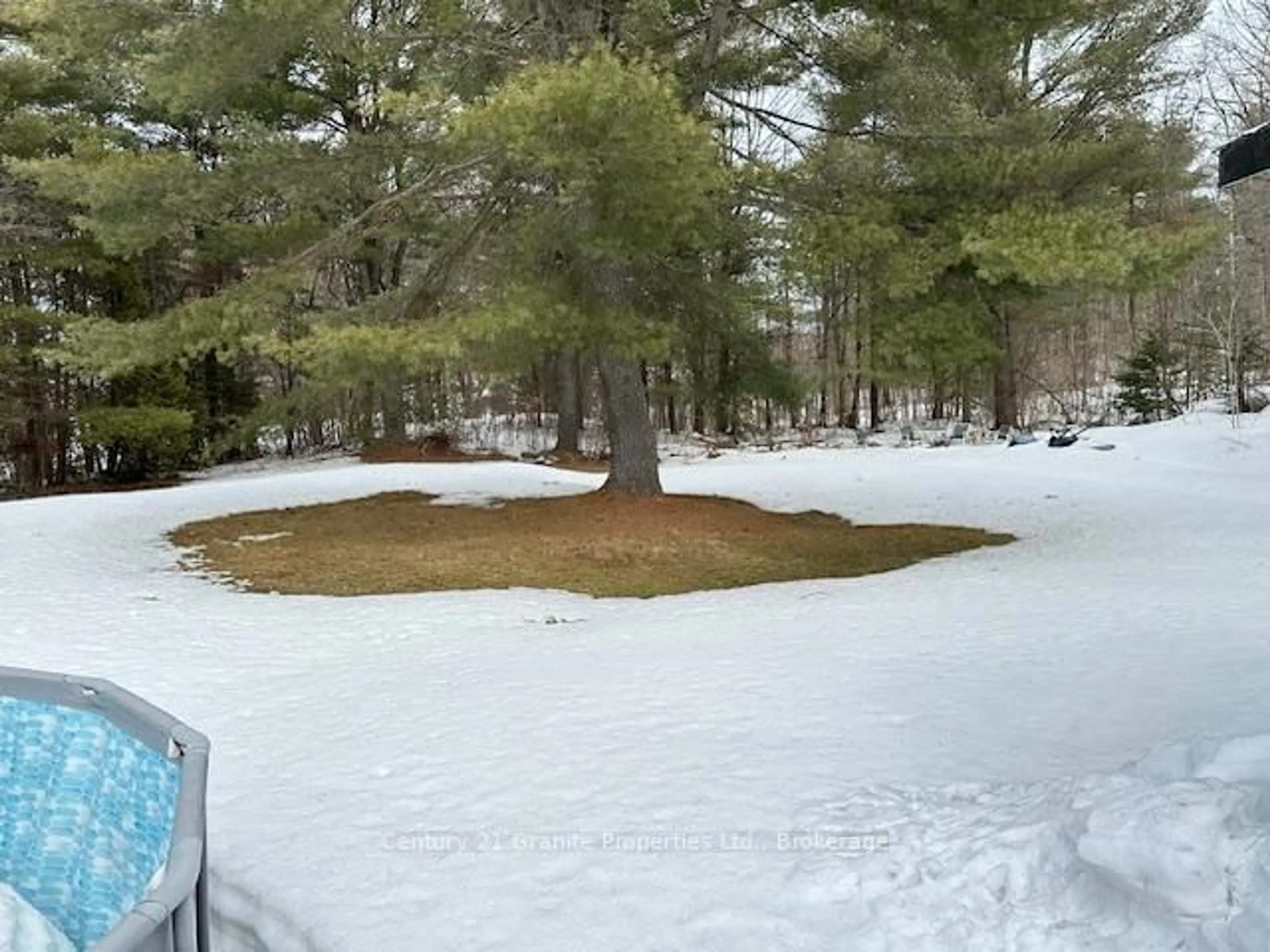 Blurry image for 2 Jacklin Cres, Seguin Ontario P2A 2W8