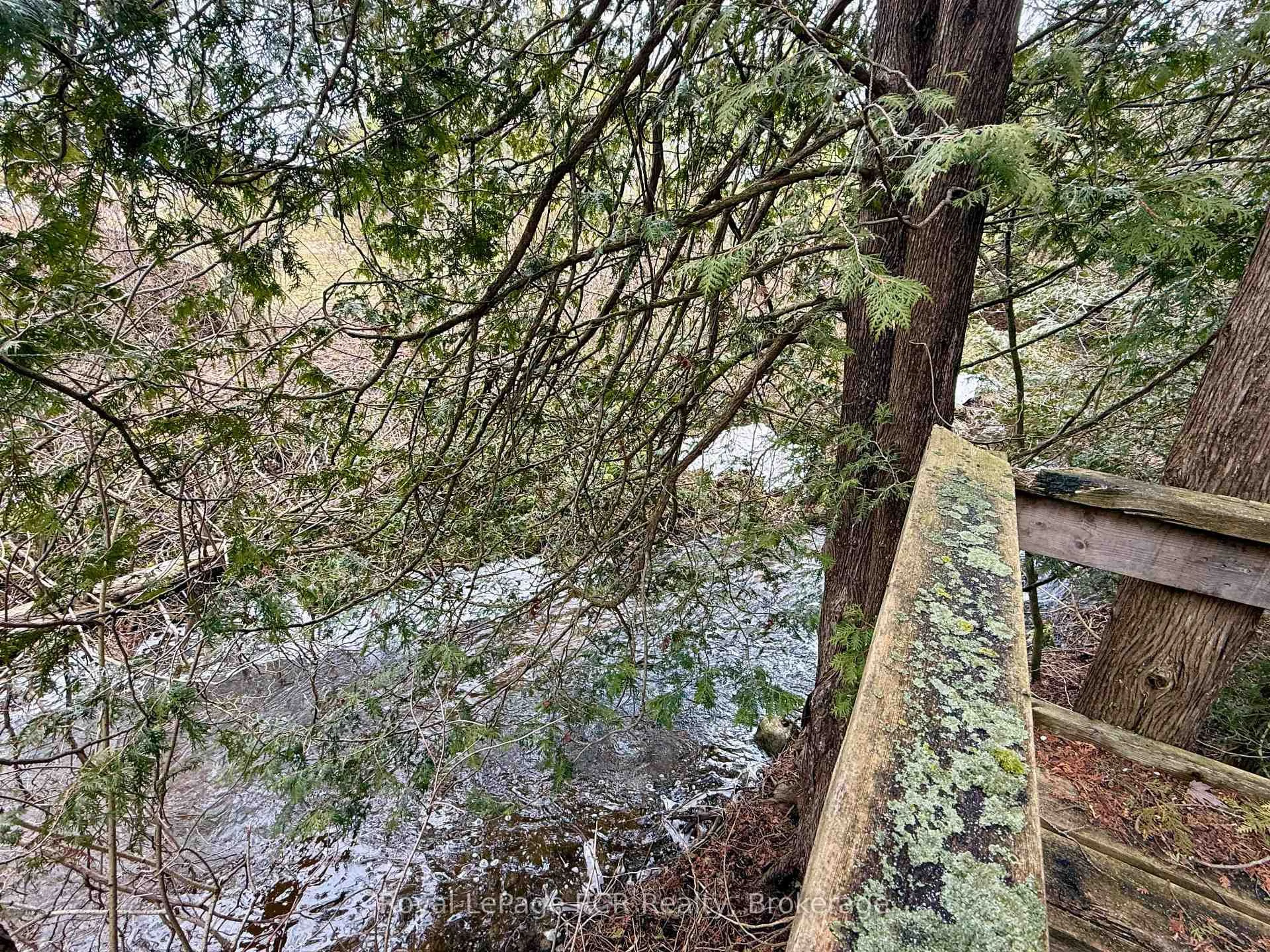 A pic from outside/outdoor area/front of a property/back of a property/a pic from drone, forest/trees view for 501265 10th Concession, West Grey Ontario N0G 1S0