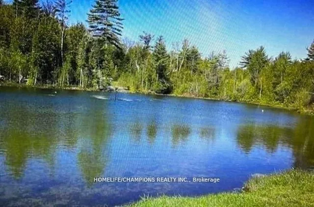 248 Pinnacle Hill Rd #Lot 88, Alnwick/Haldimand 5
