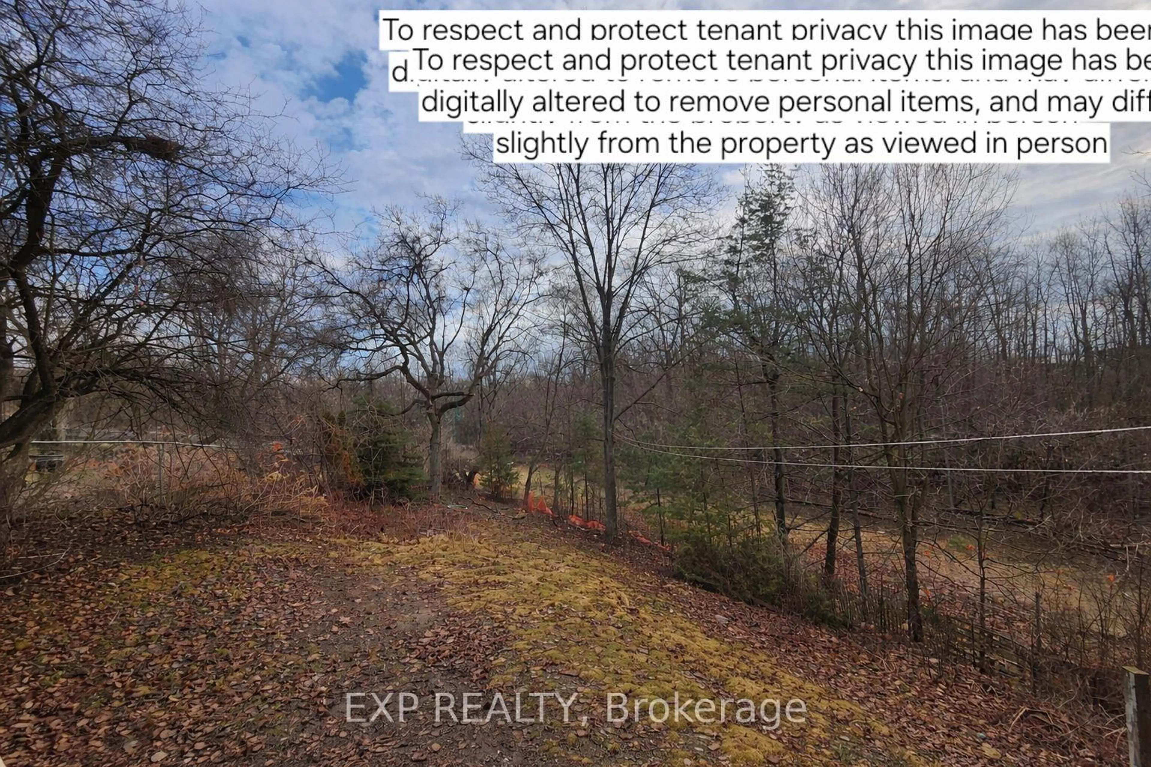 A pic from outside/outdoor area/front of a property/back of a property/a pic from drone, forest/trees view for 219 Bartholomew St, Brockville Ontario K6V 2S4