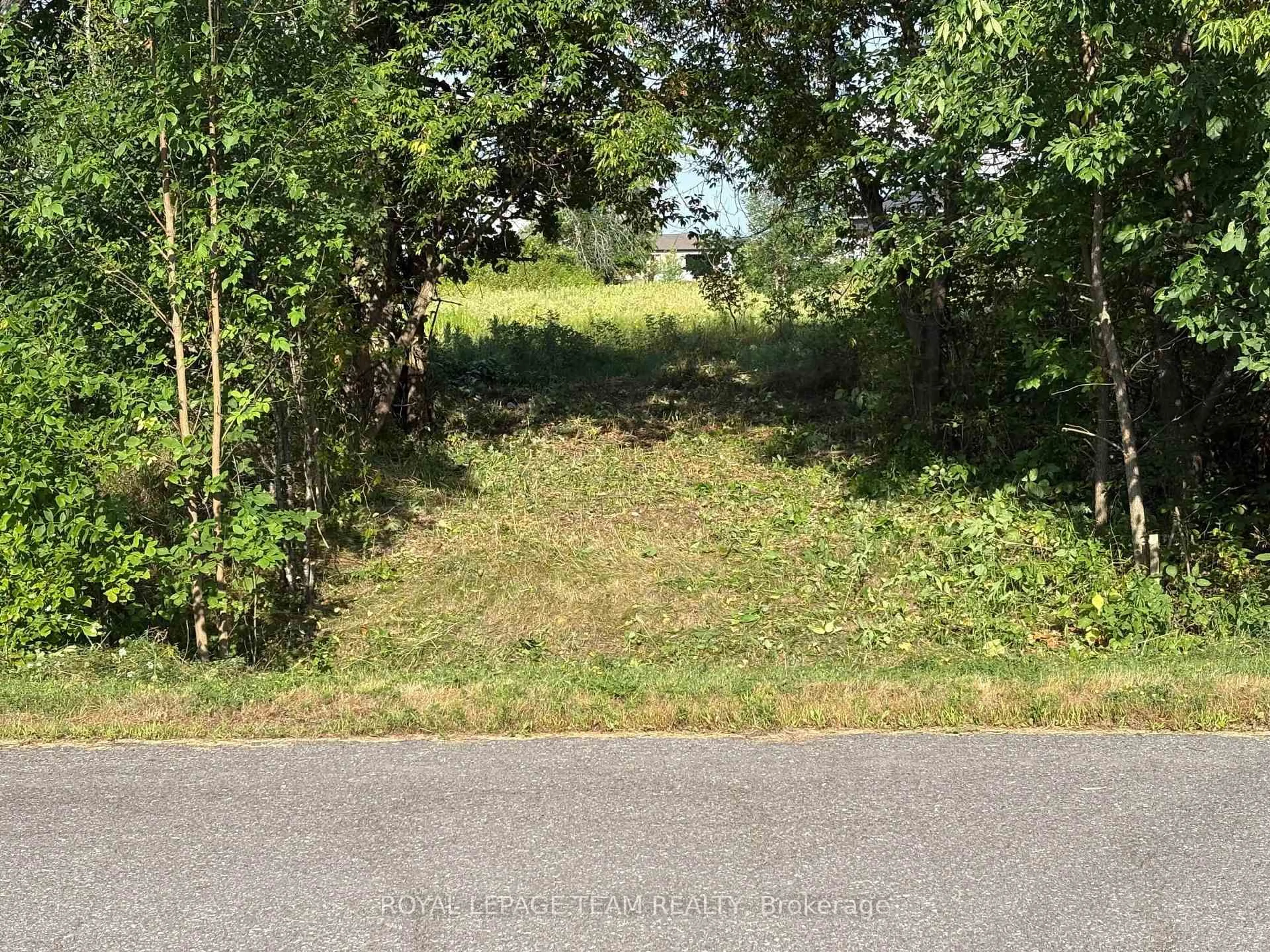 A pic from outside/outdoor area/front of a property/back of a property/a pic from drone, forest/trees view for 161 Old Pakenham Rd, Fitzroy Harbour Ontario K0A 1X0