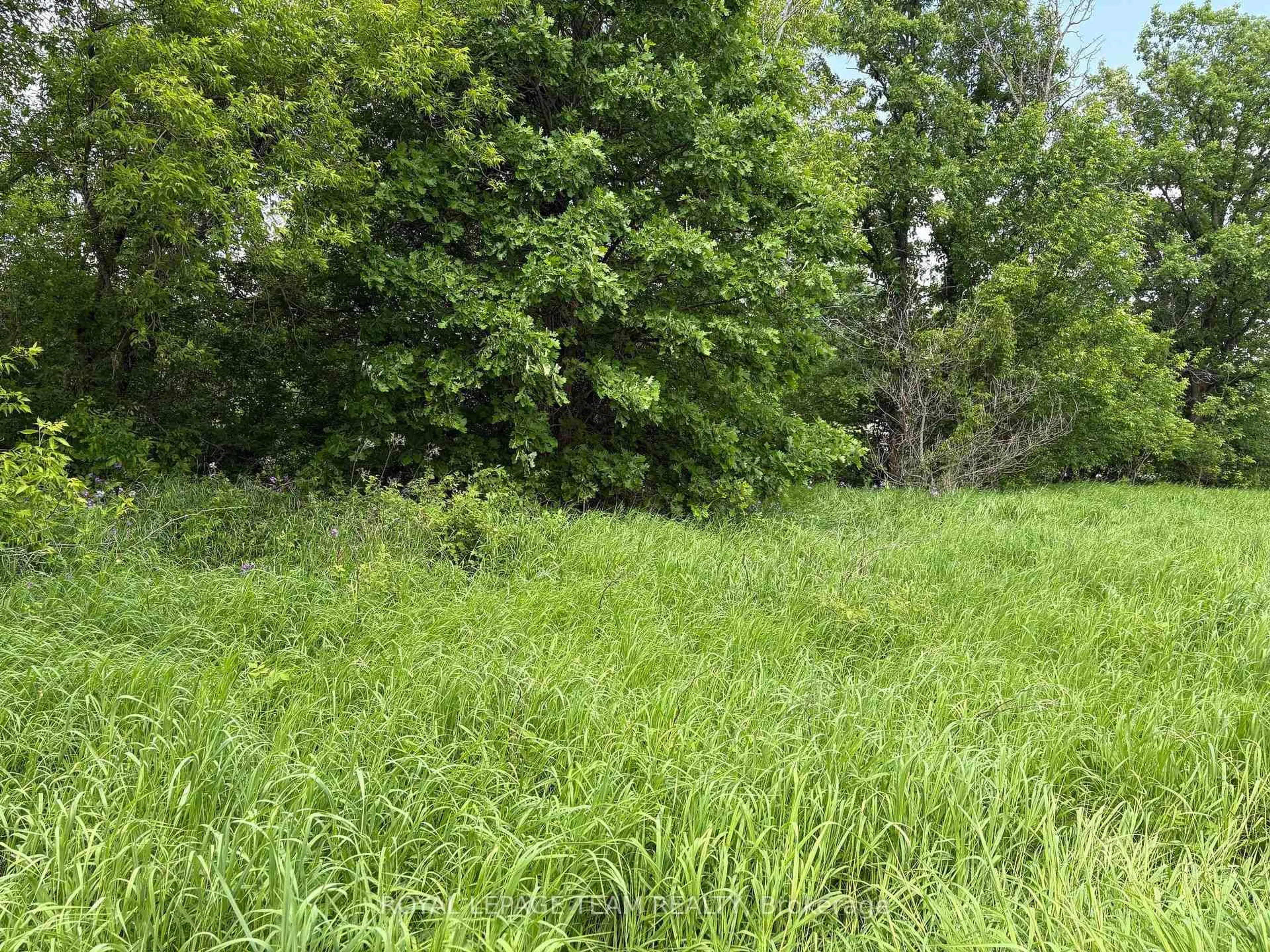 Unknown for 161 Old Pakenham Rd, Fitzroy Harbour Ontario K0A 1X0