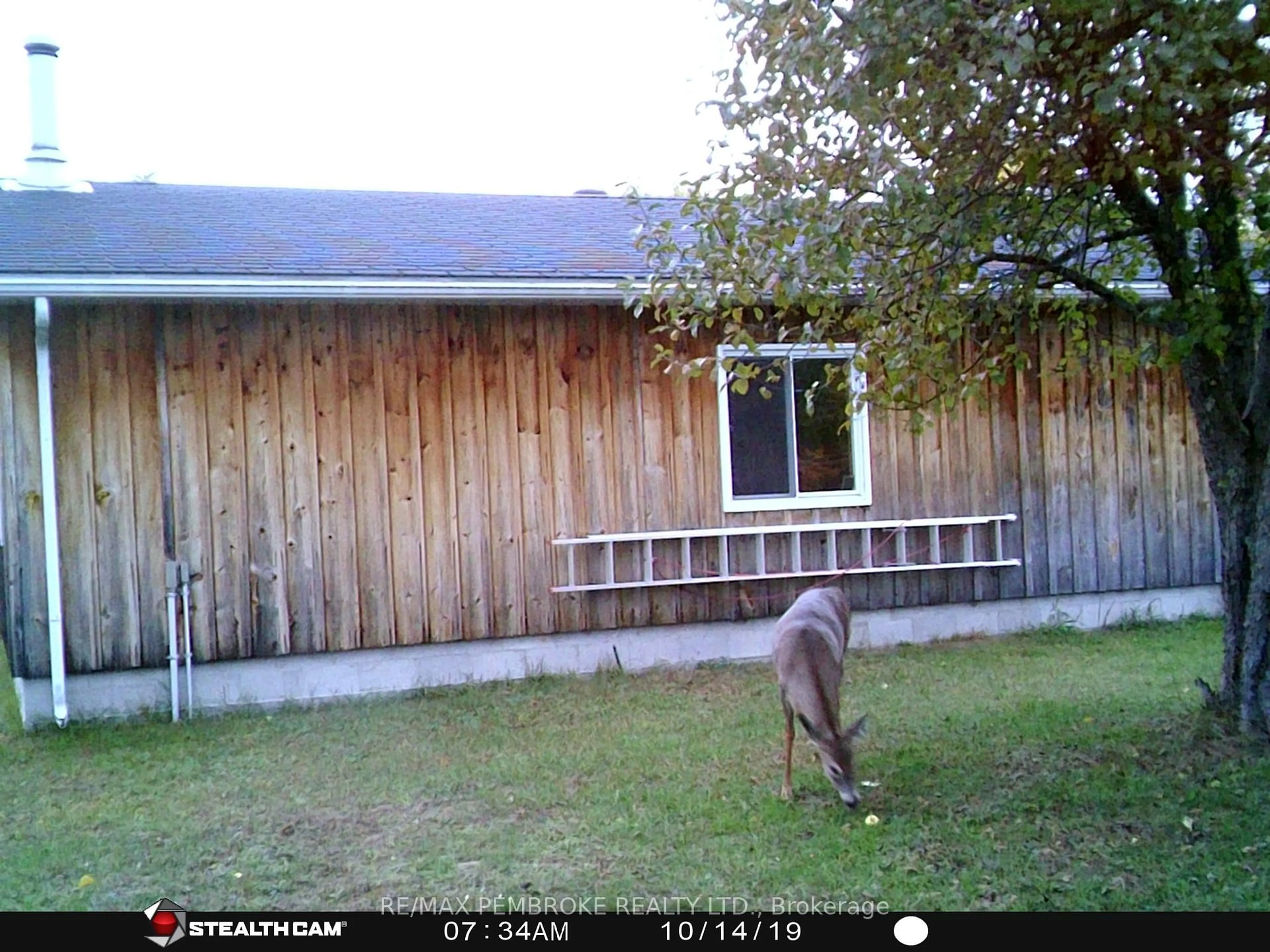 Unknown for 1718 Black Bay Rd, Petawawa Ontario K8H 2W8